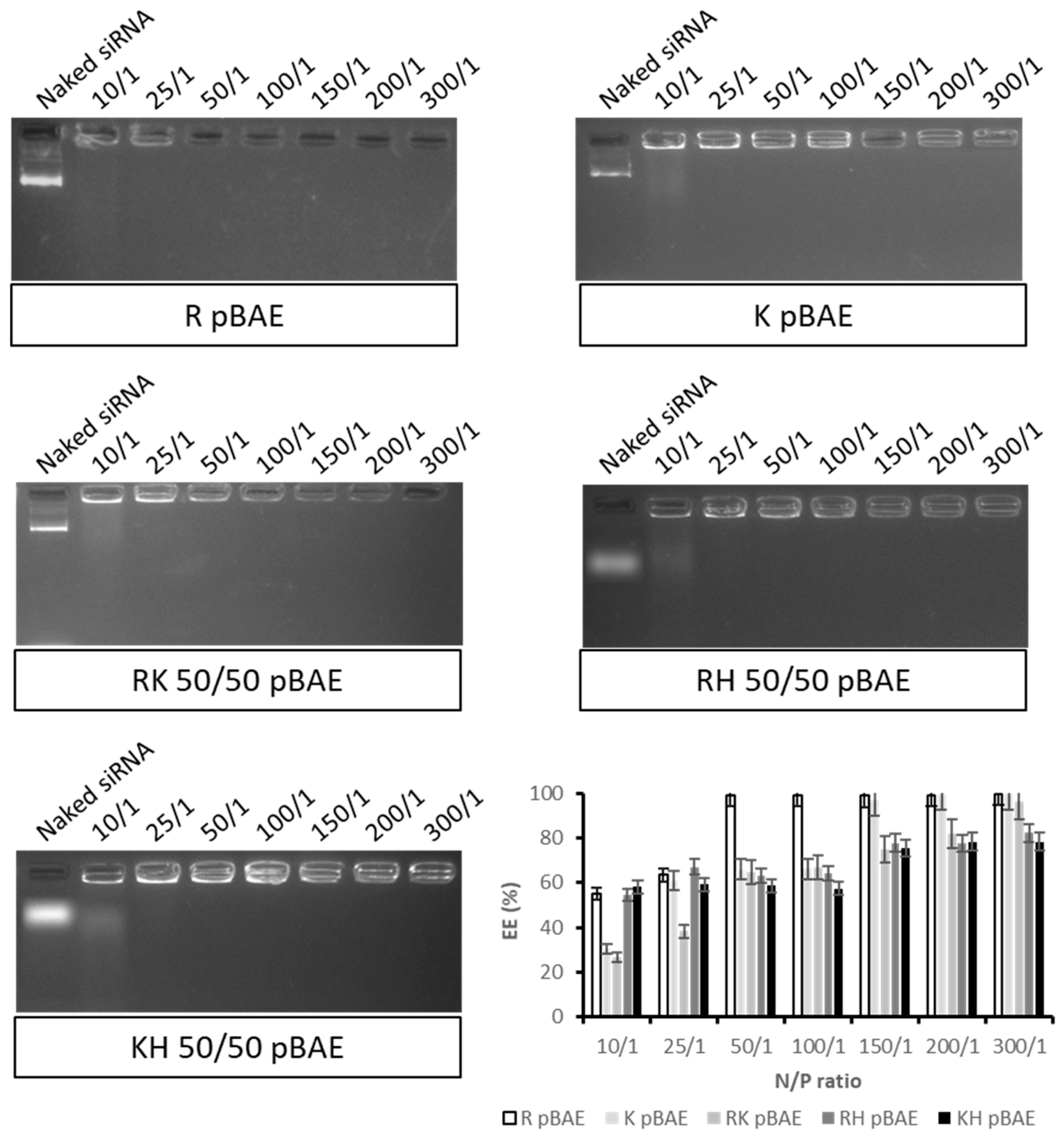 Pharmaceutics 13 01959 g001