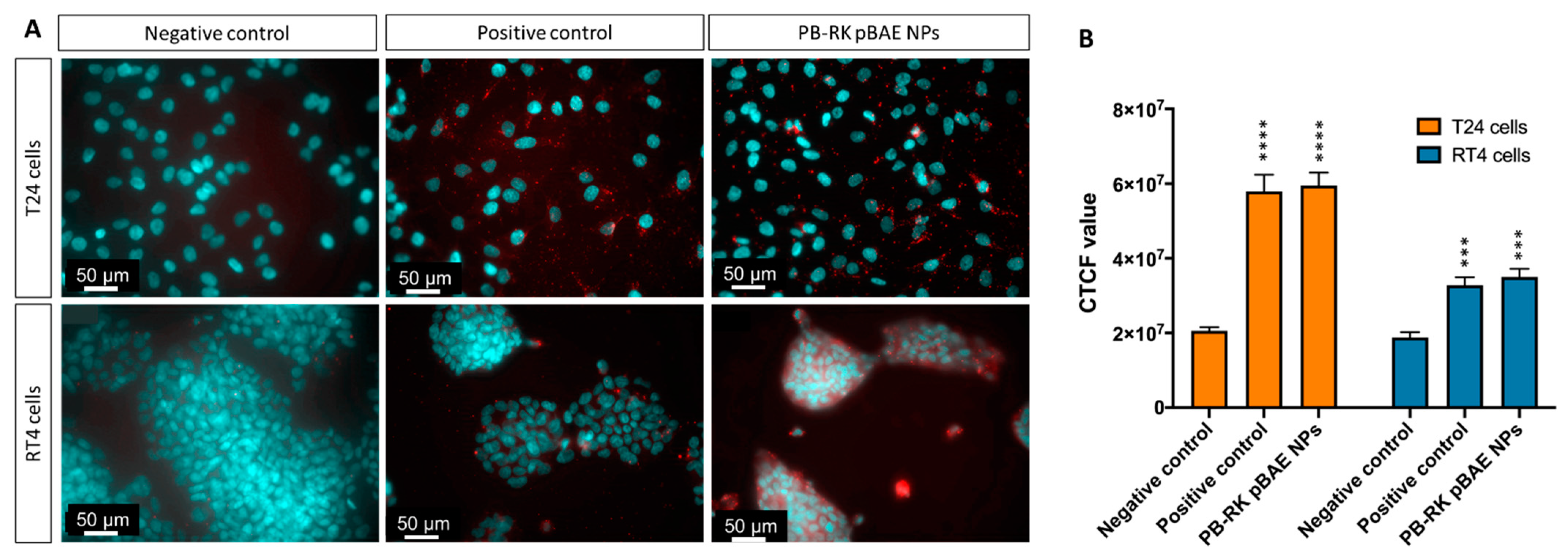 Pharmaceutics 13 01959 g005