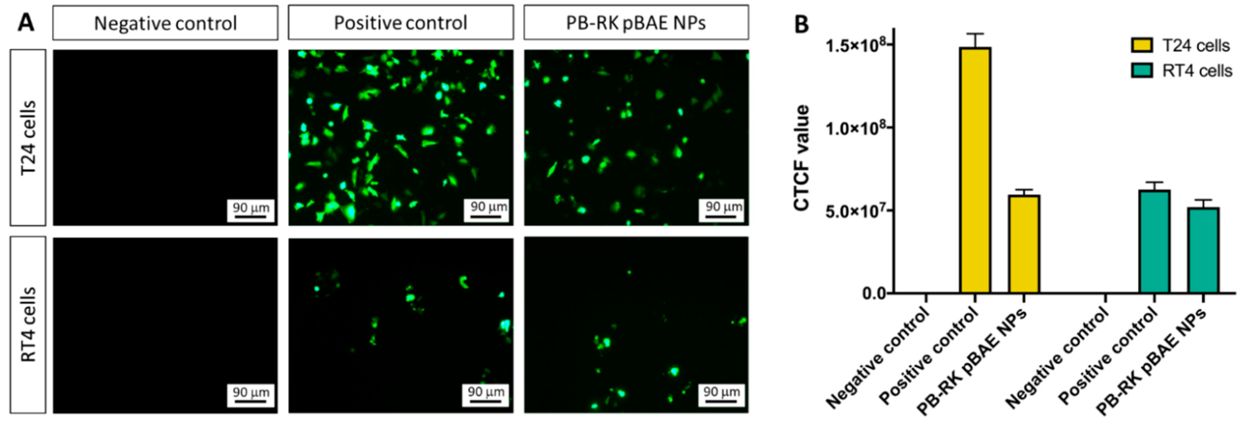 Pharmaceutics 13 01959 g006