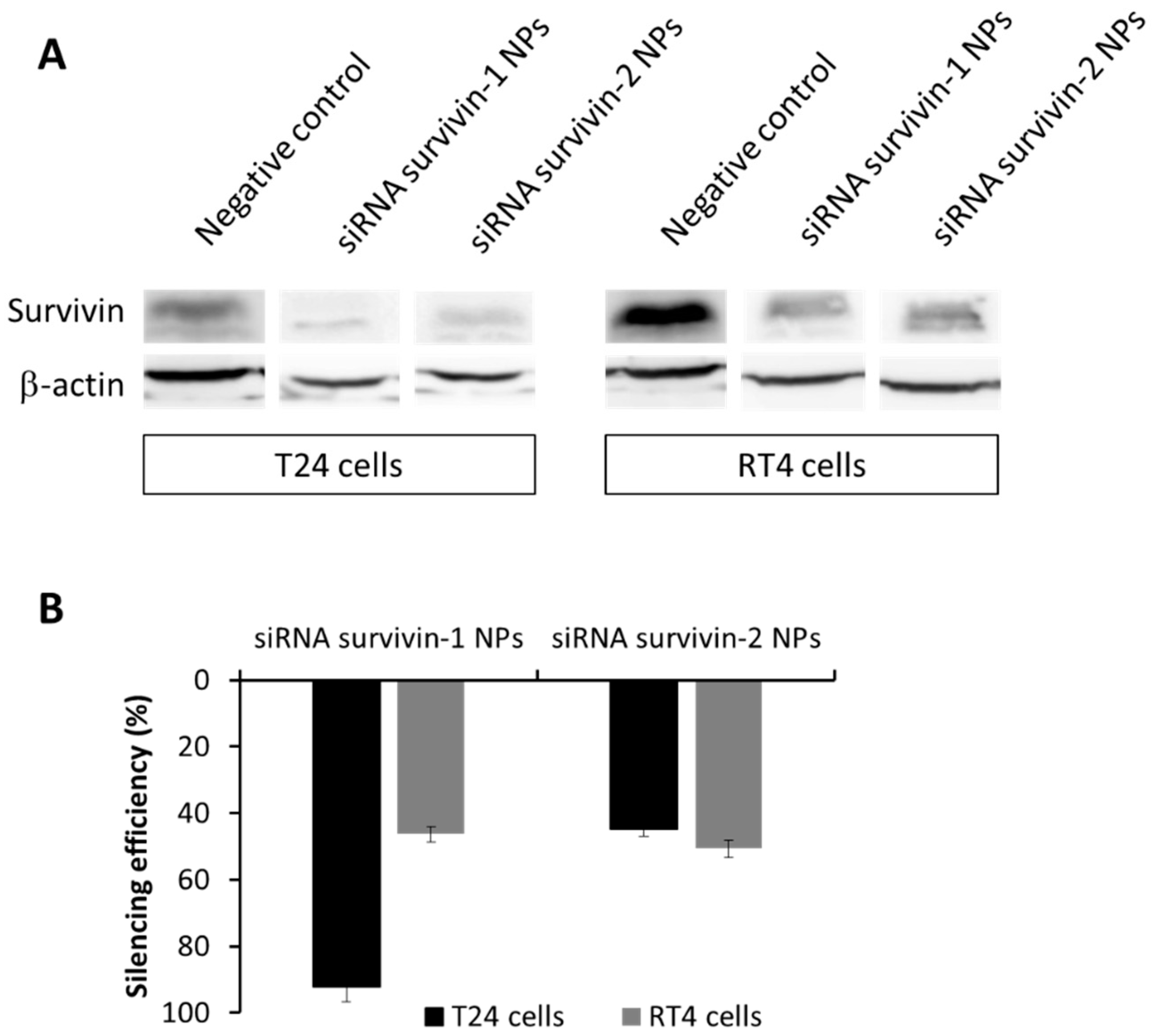 Pharmaceutics 13 01959 g008