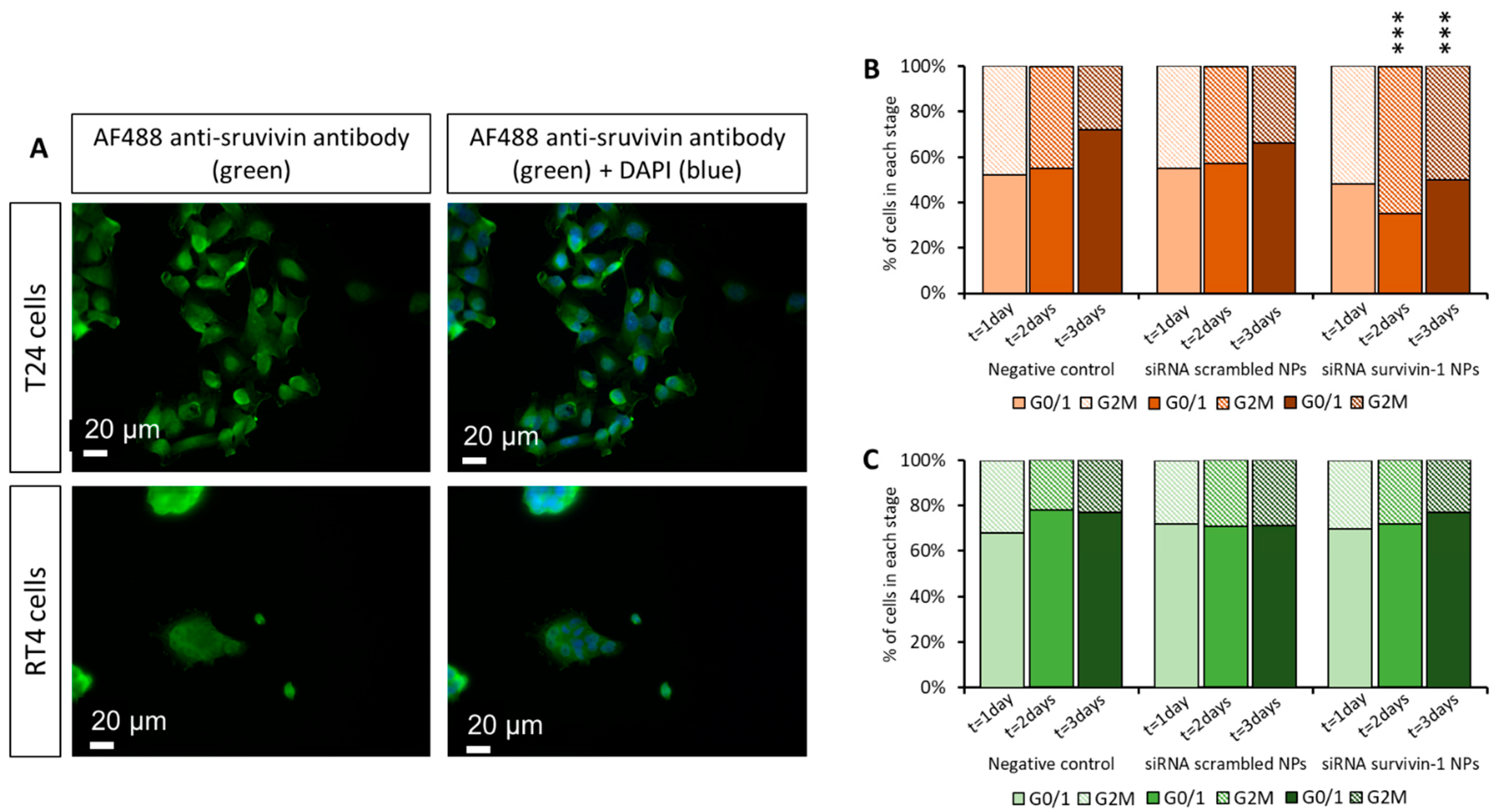 Pharmaceutics 13 01959 g010