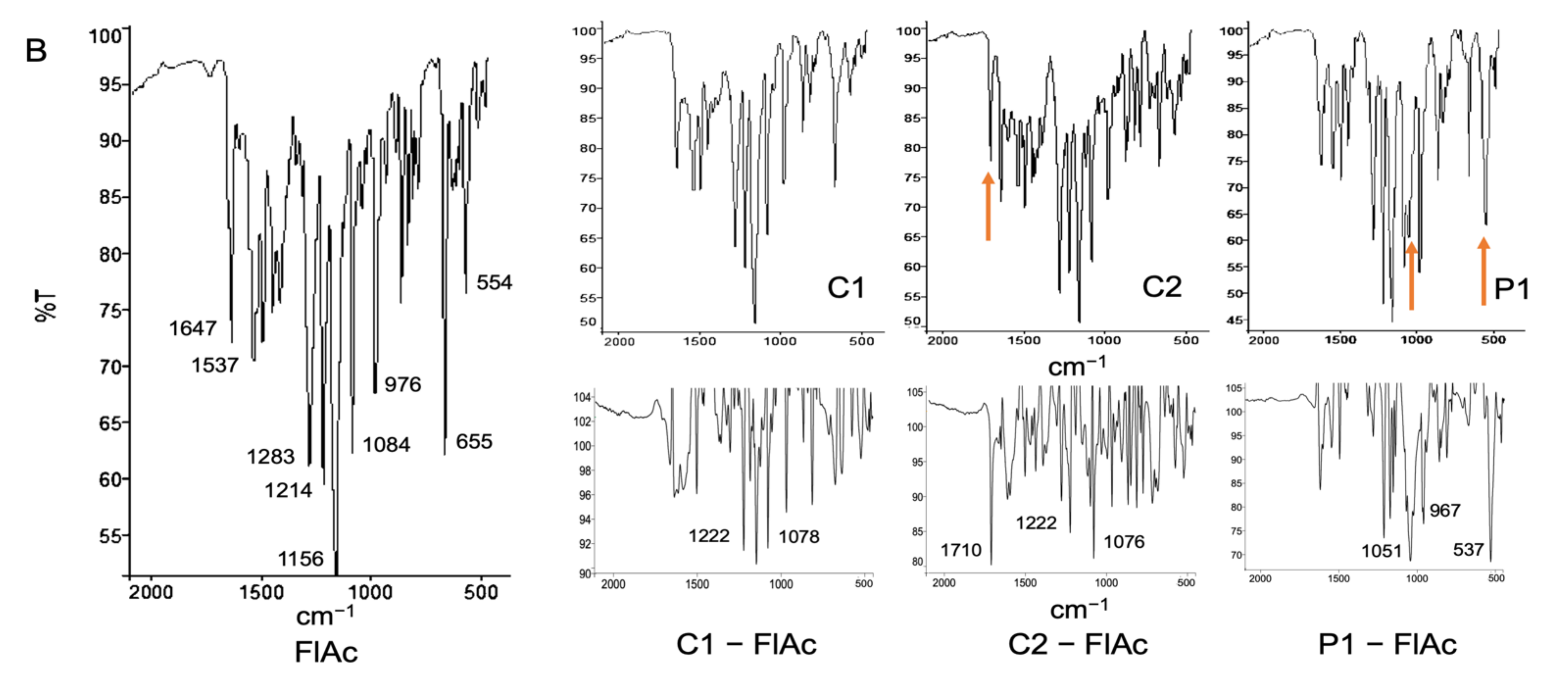Pharmaceutics 13 01963 g003b