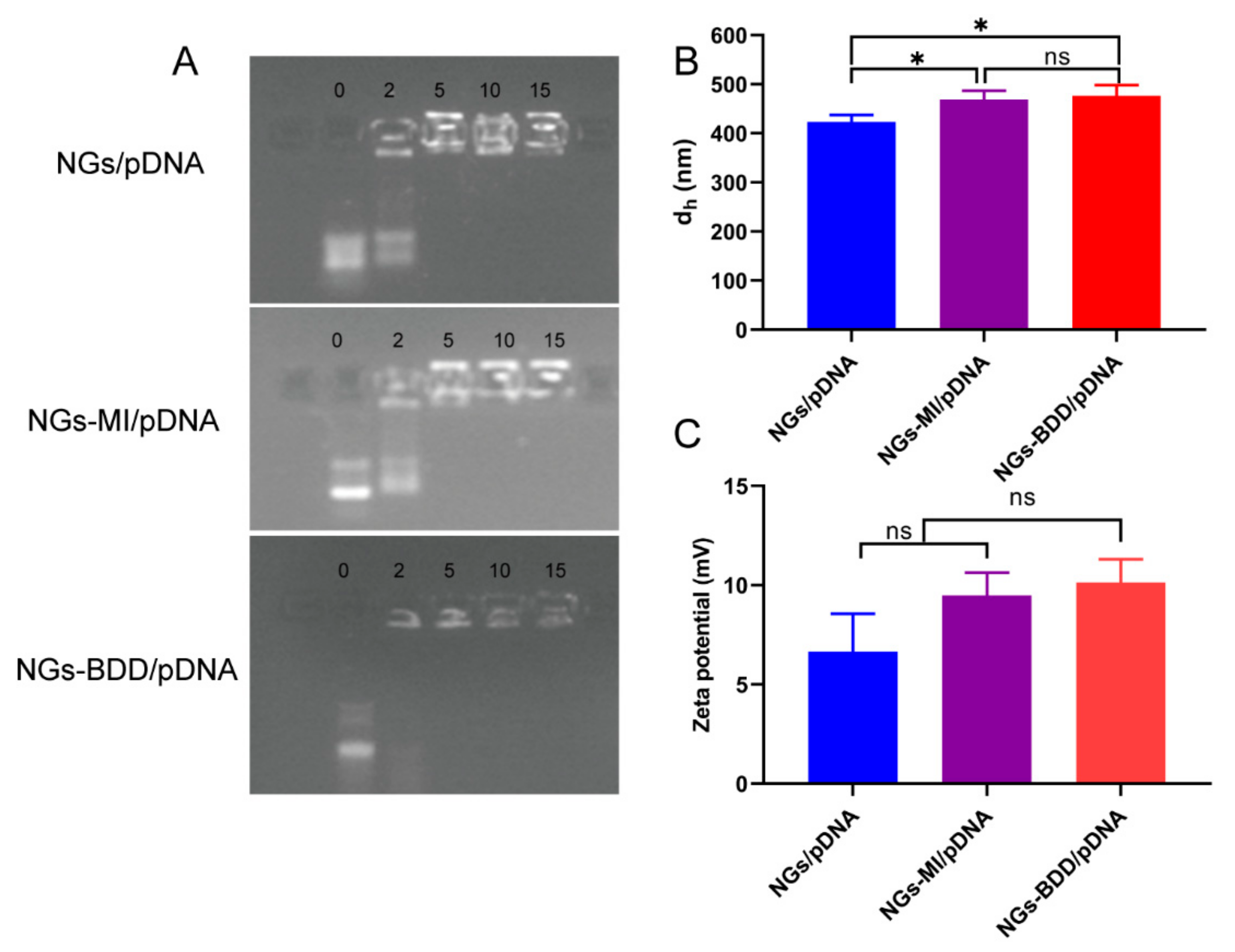 Pharmaceutics 13 01964 g003