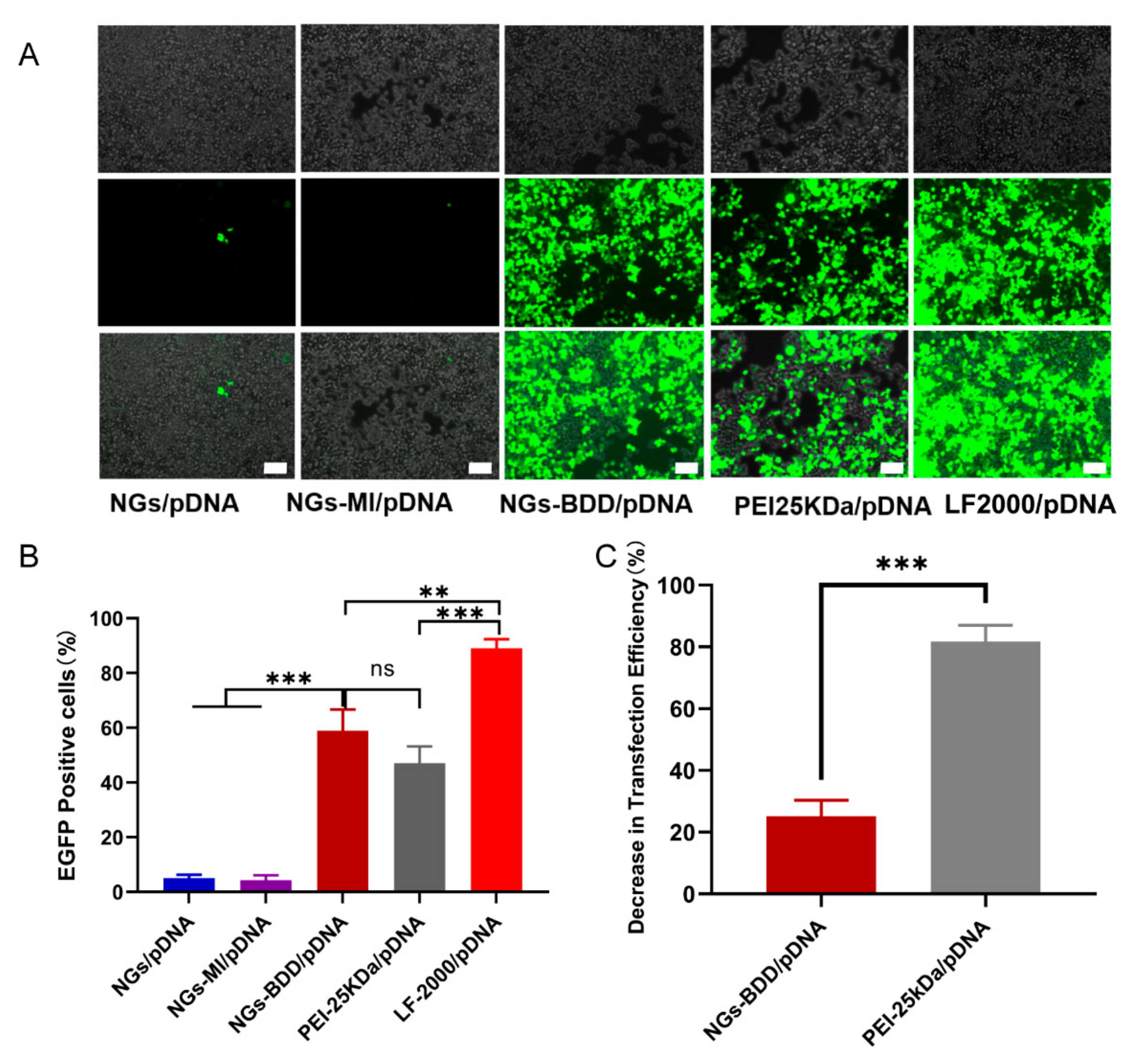 Pharmaceutics 13 01964 g006