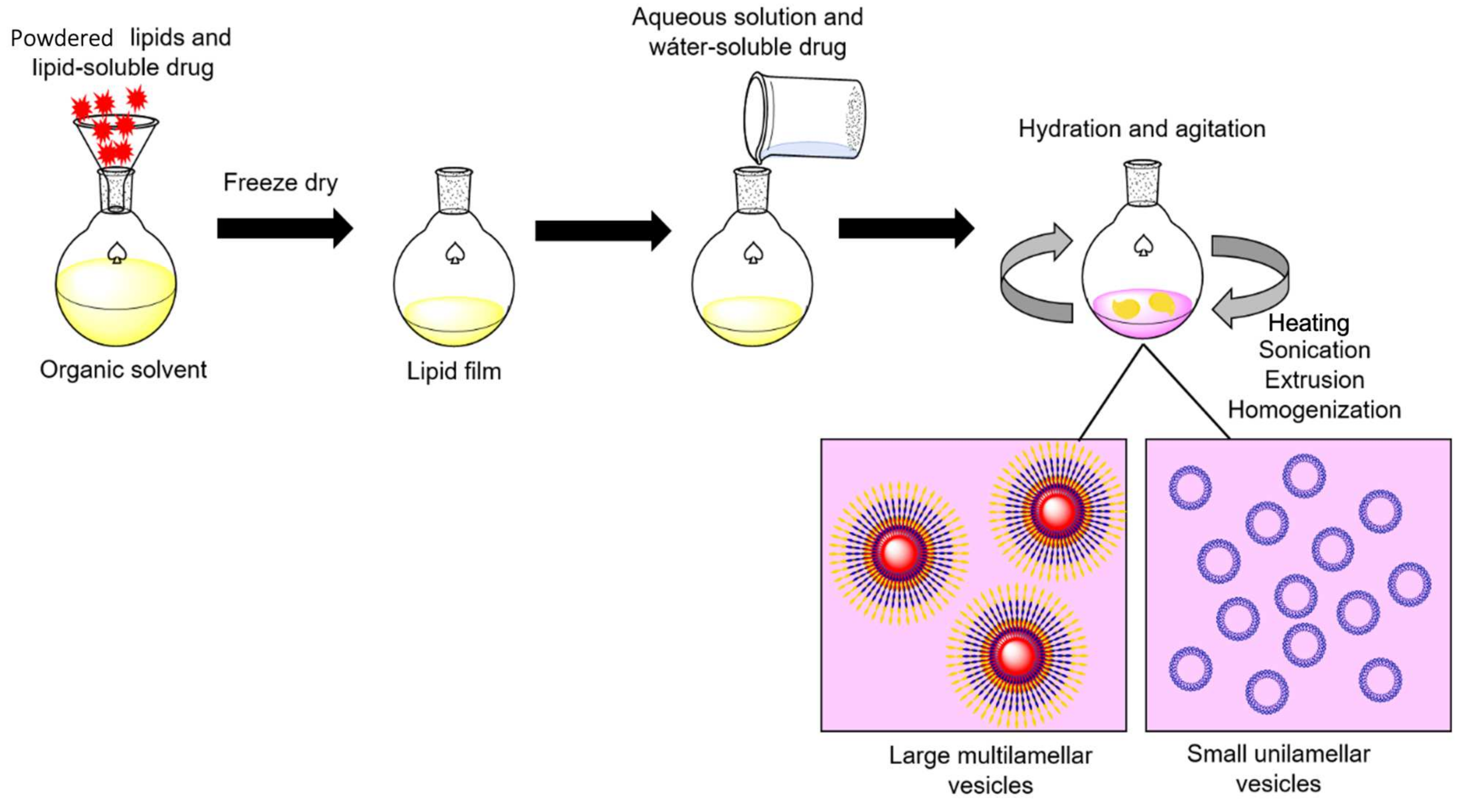Pharmaceutics 13 01965 g004