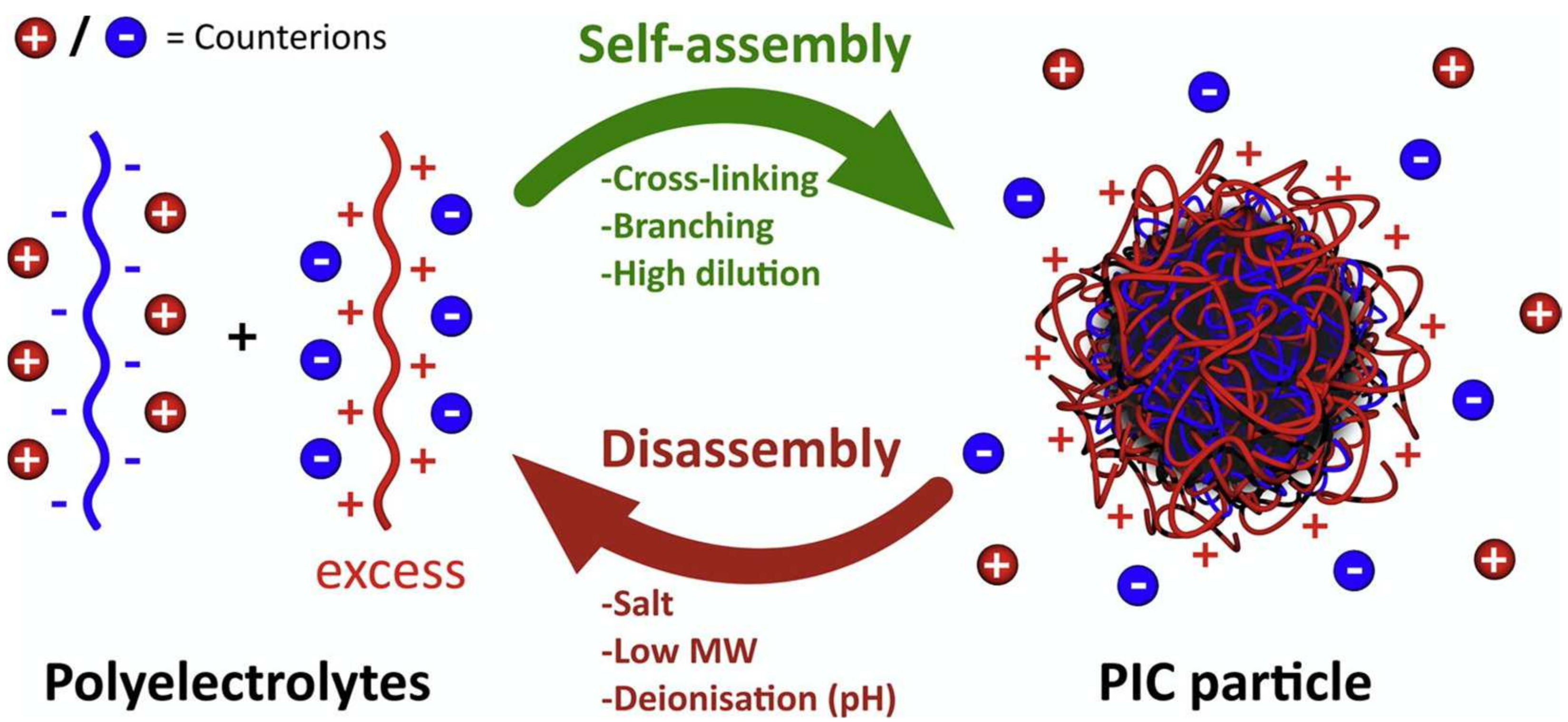 Pharmaceutics 13 01965 g006