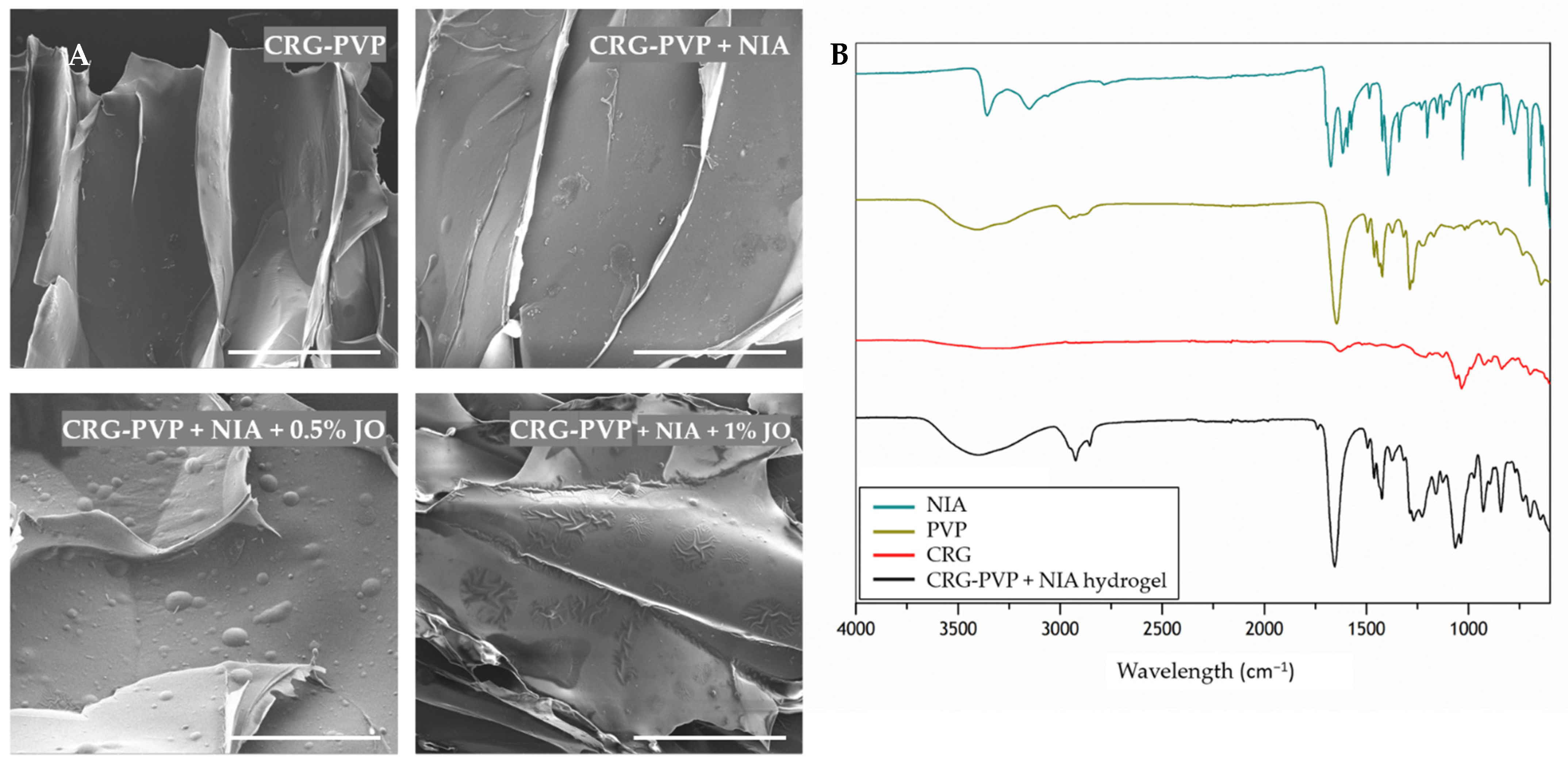 Pharmaceutics 13 01968 g001