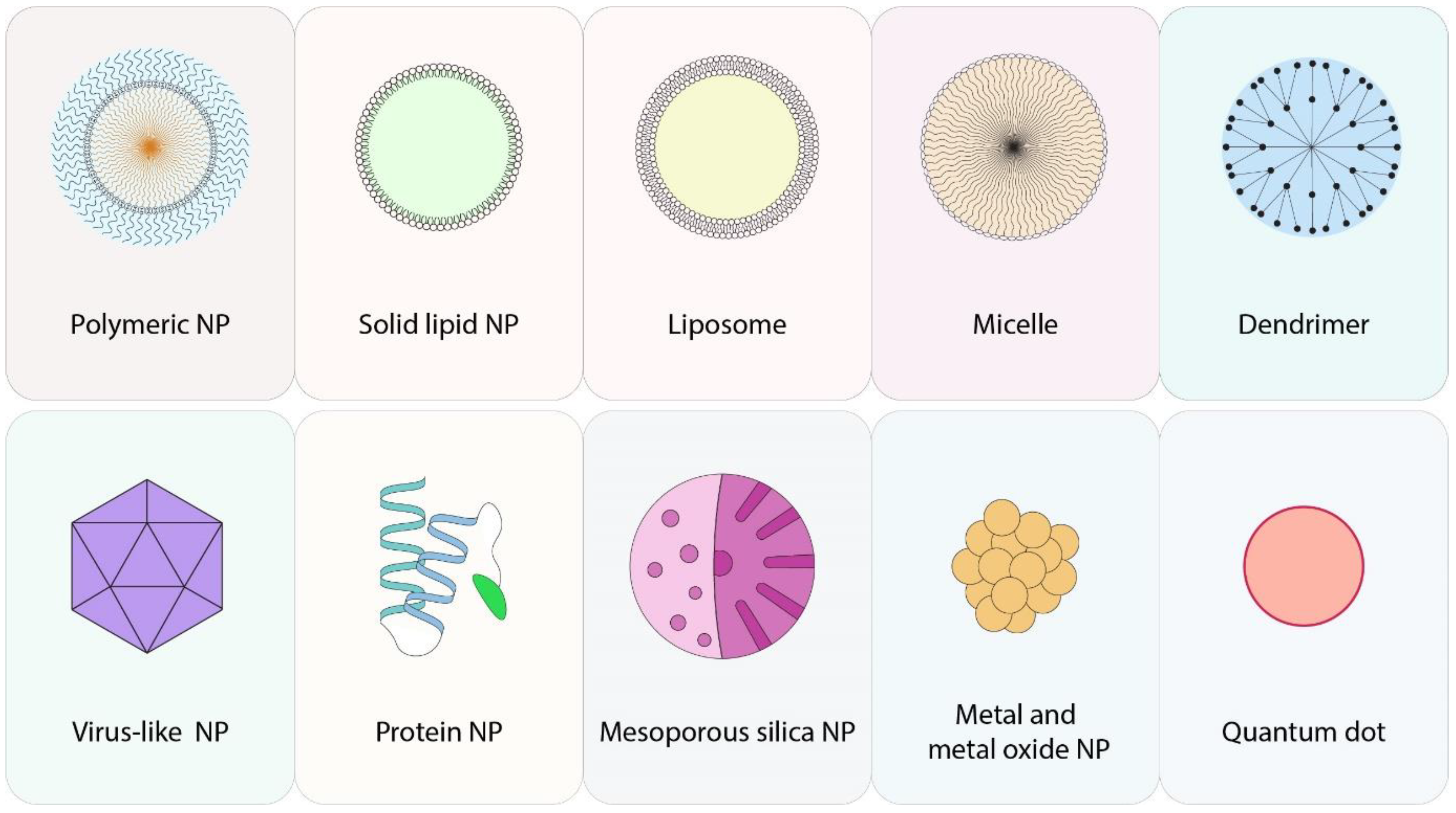 Pharmaceutics 13 01972 g001