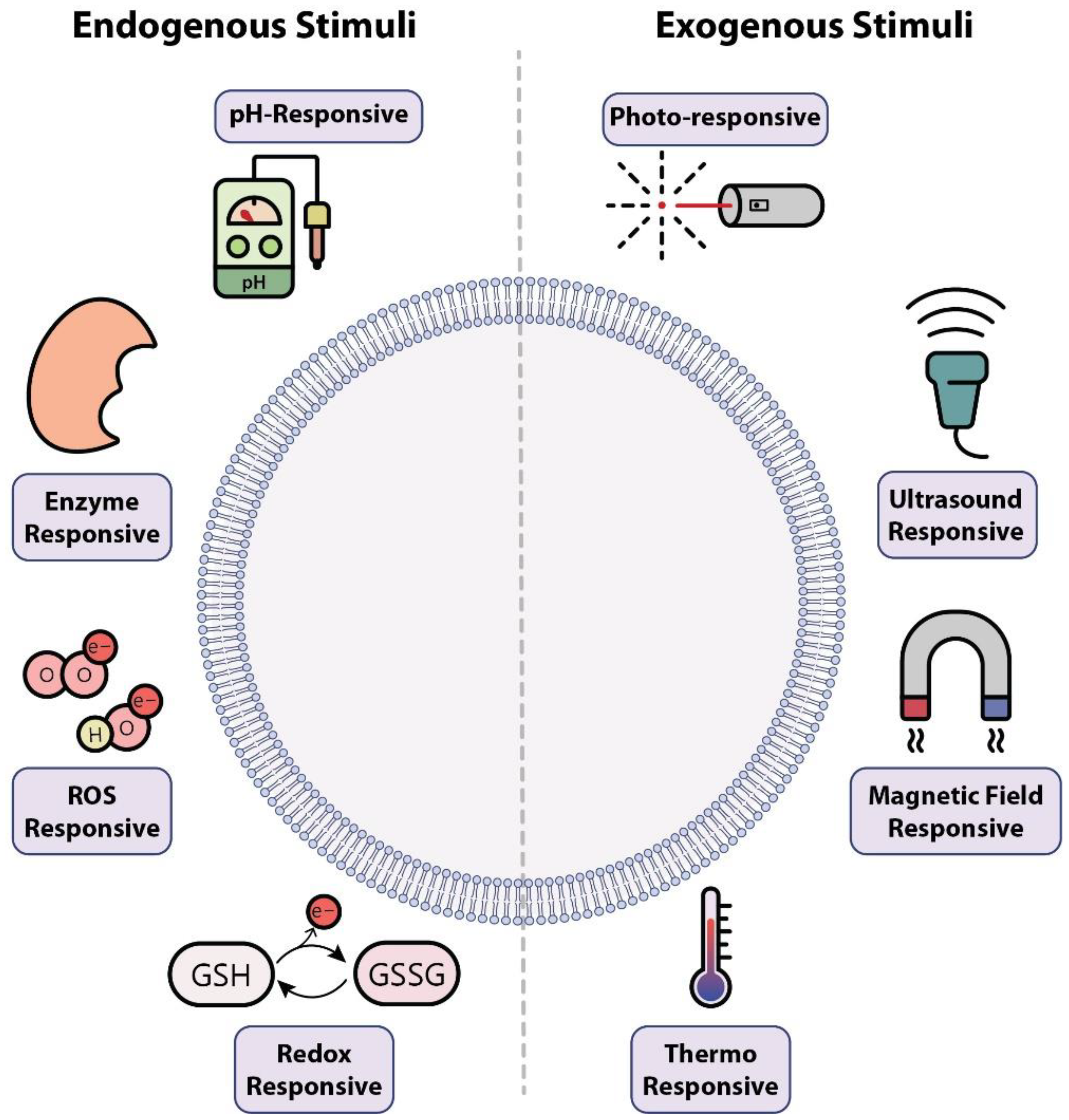 Pharmaceutics 13 01972 g002