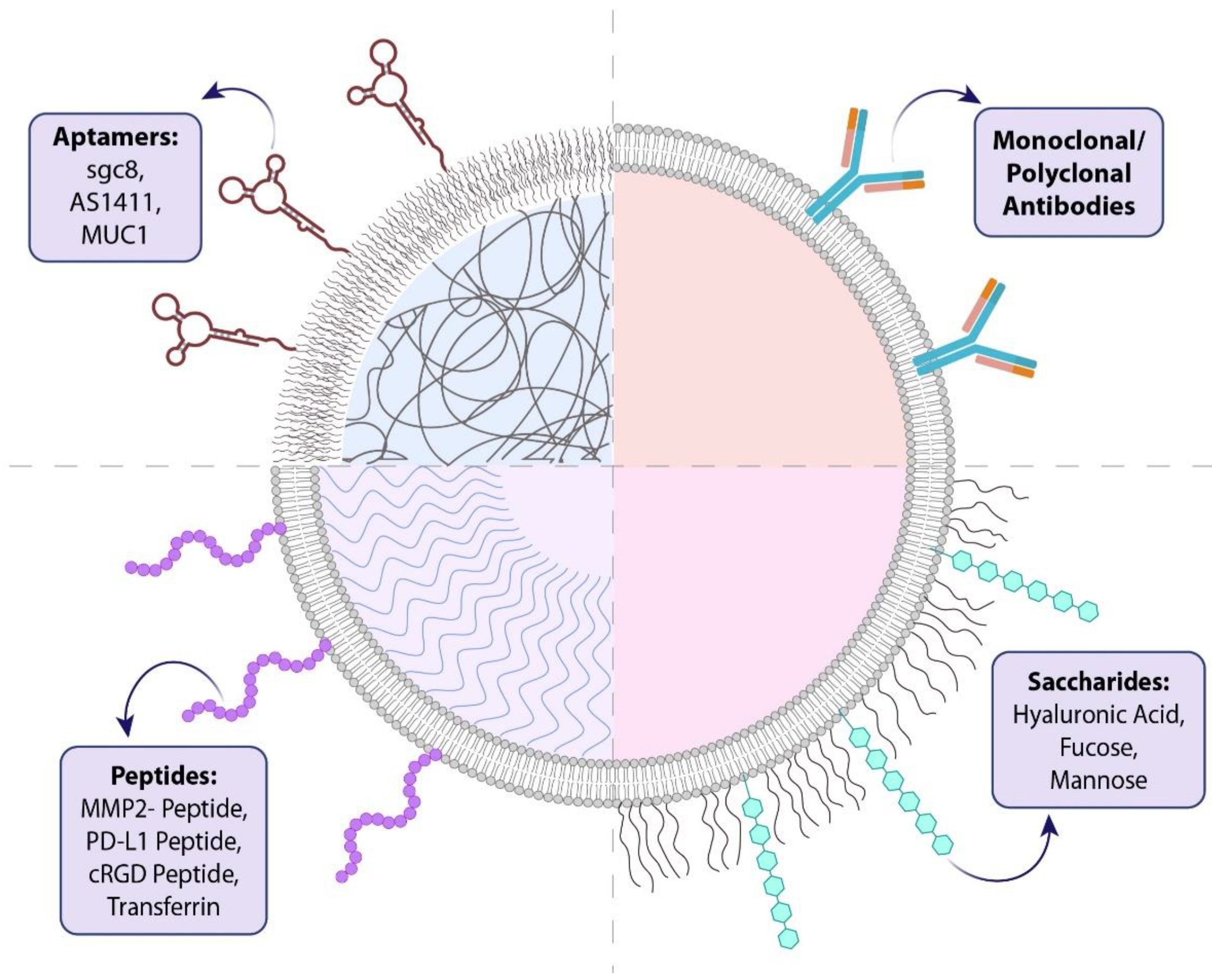 Pharmaceutics 13 01972 g003