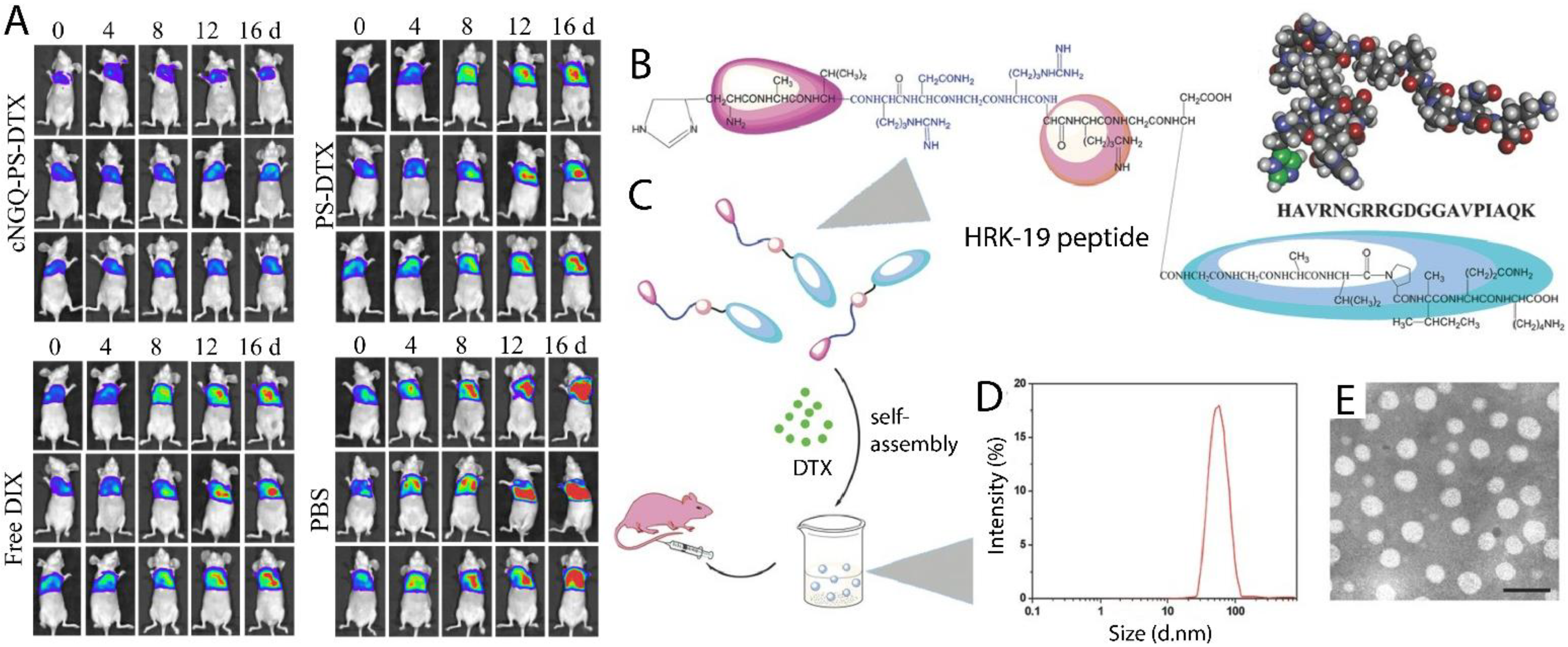 Pharmaceutics 13 01972 g004