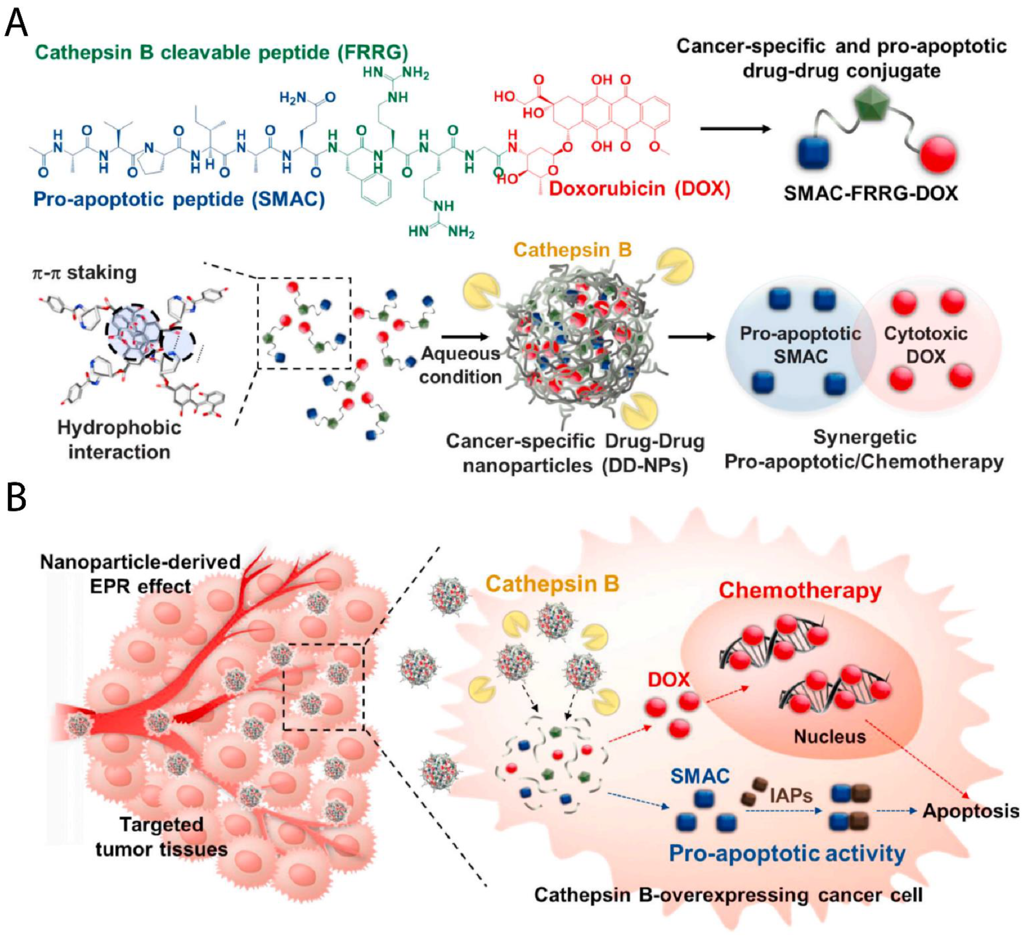 Pharmaceutics 13 01972 g006