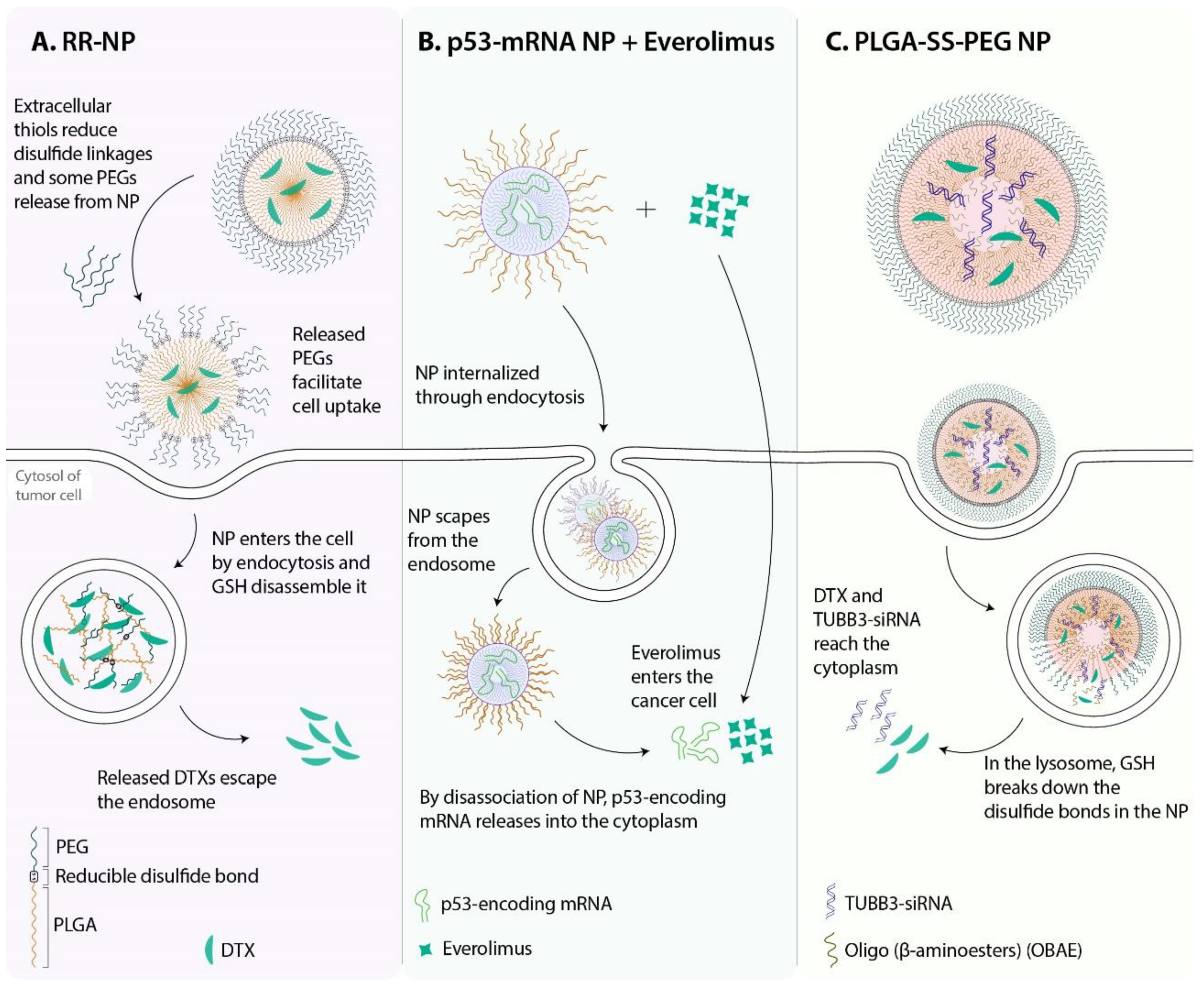 Pharmaceutics 13 01972 g007