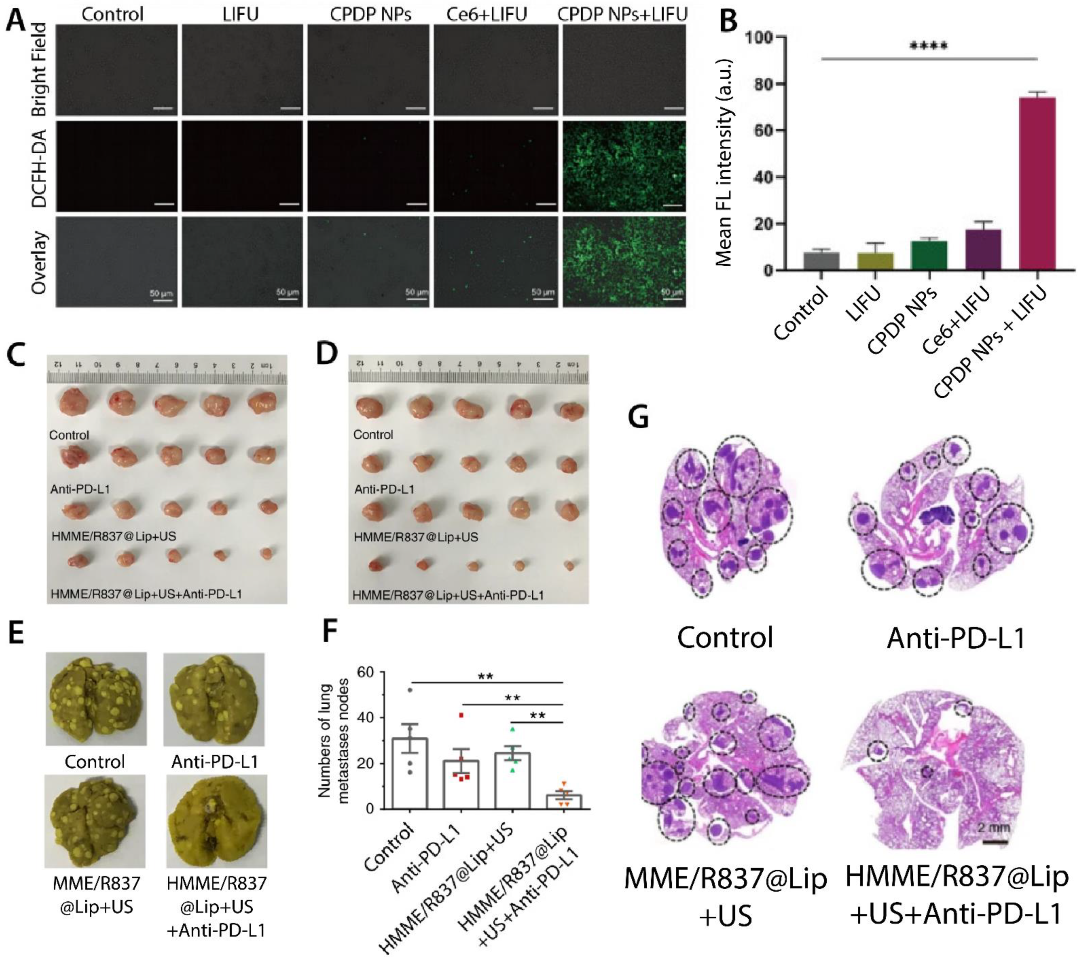 Pharmaceutics 13 01972 g009