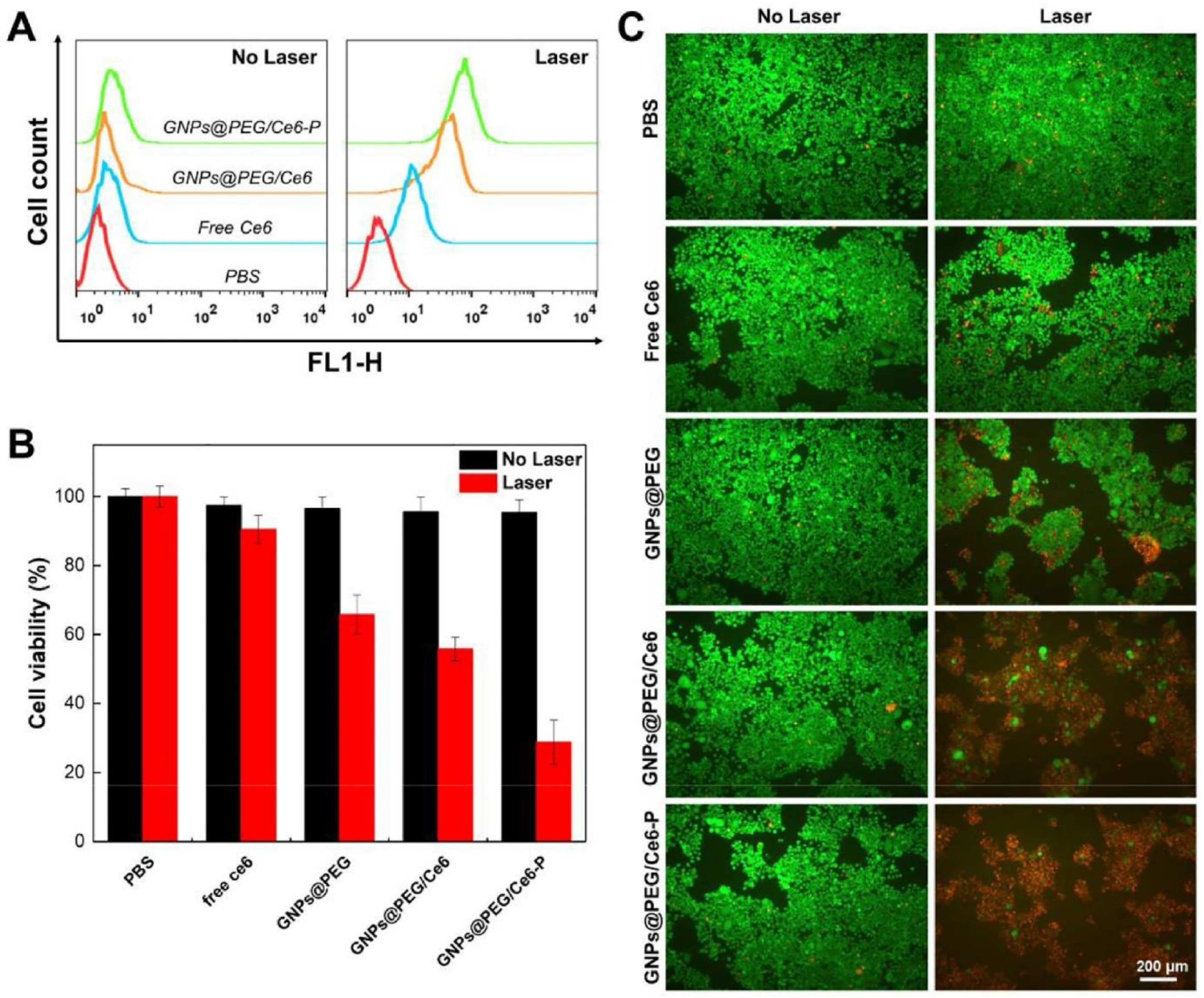 Pharmaceutics 13 01972 g011