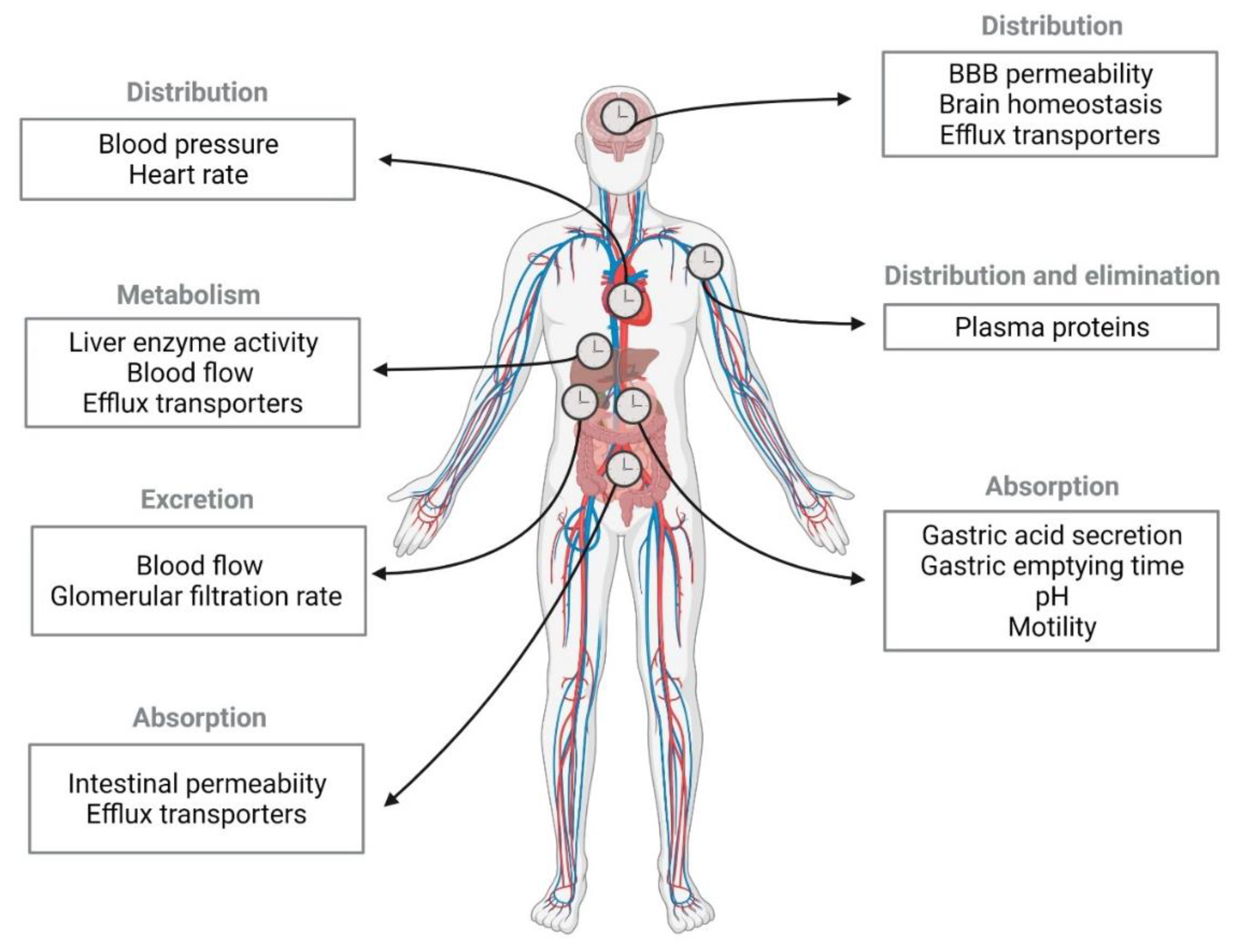 Pharmaceutics 13 01975 g001