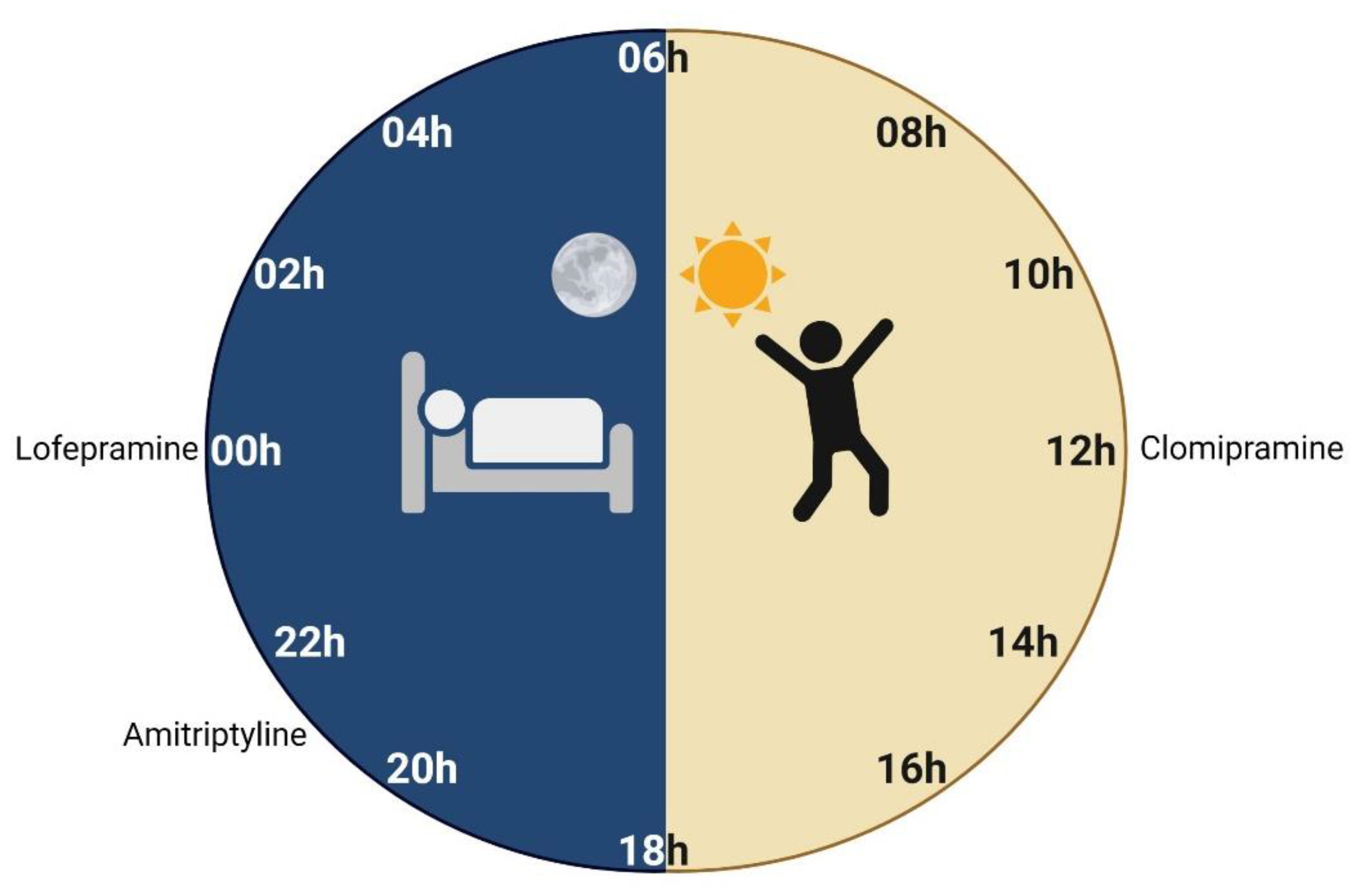 Pharmaceutics 13 01975 g004