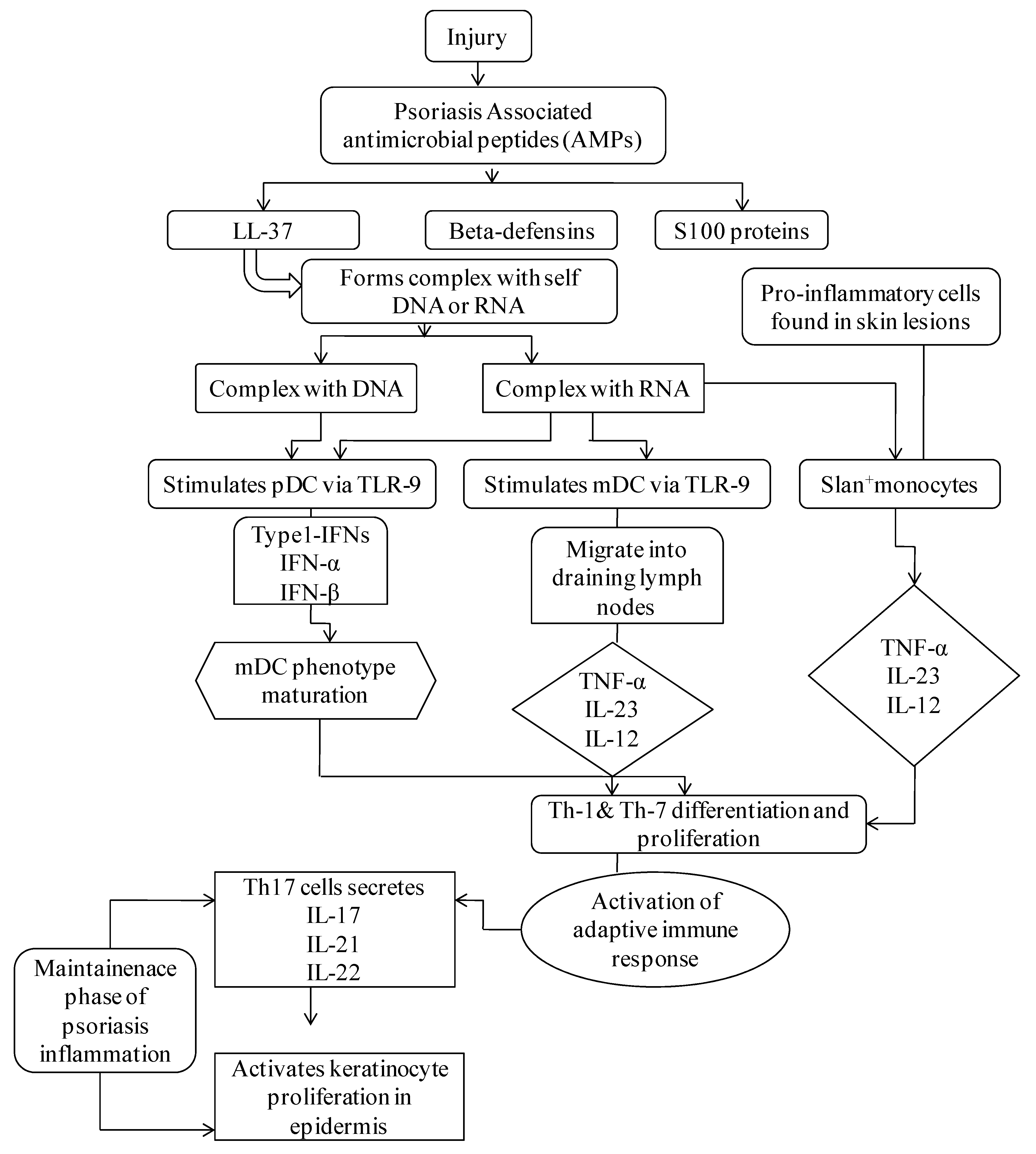 Pharmaceutics 13 01978 g001