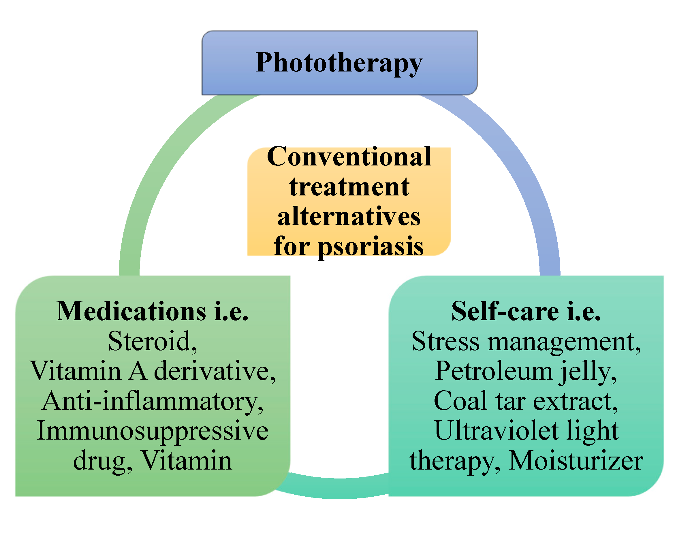 Pharmaceutics 13 01978 g002