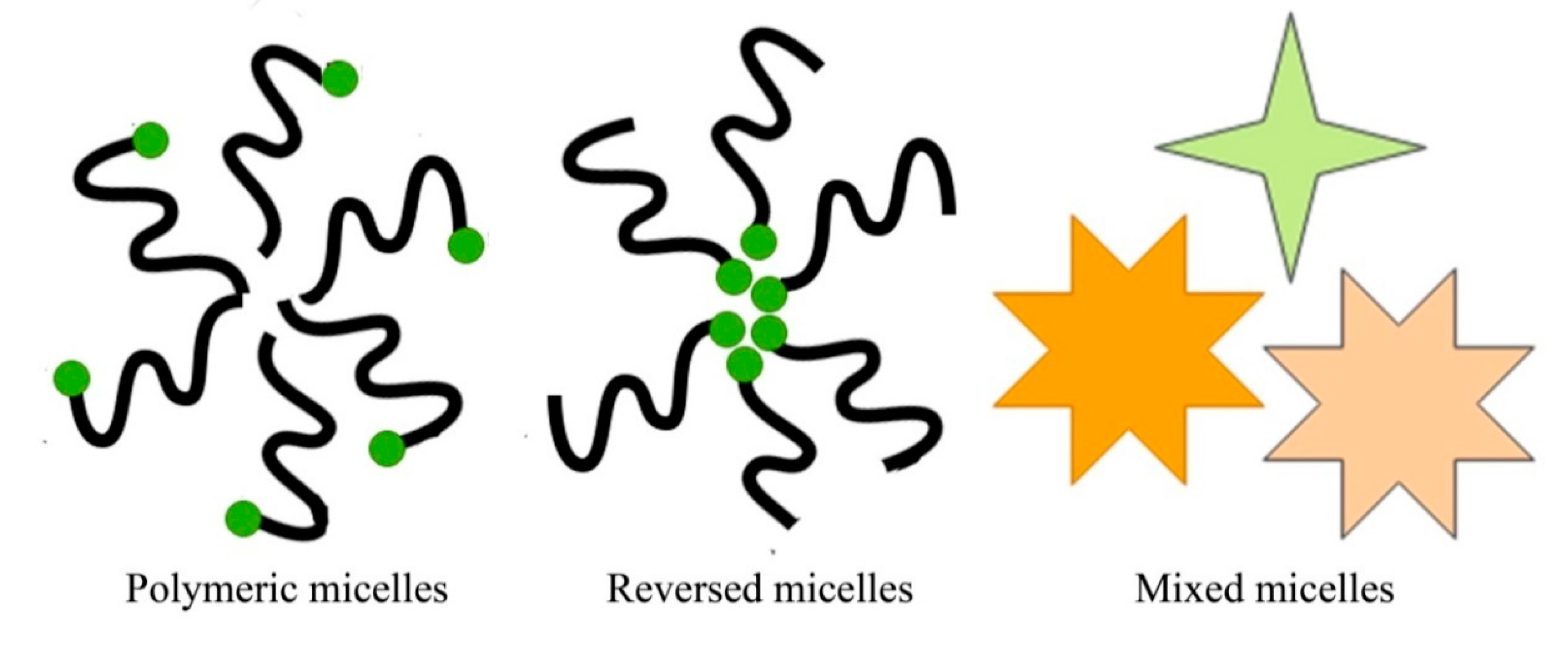 Pharmaceutics 13 01978 g006