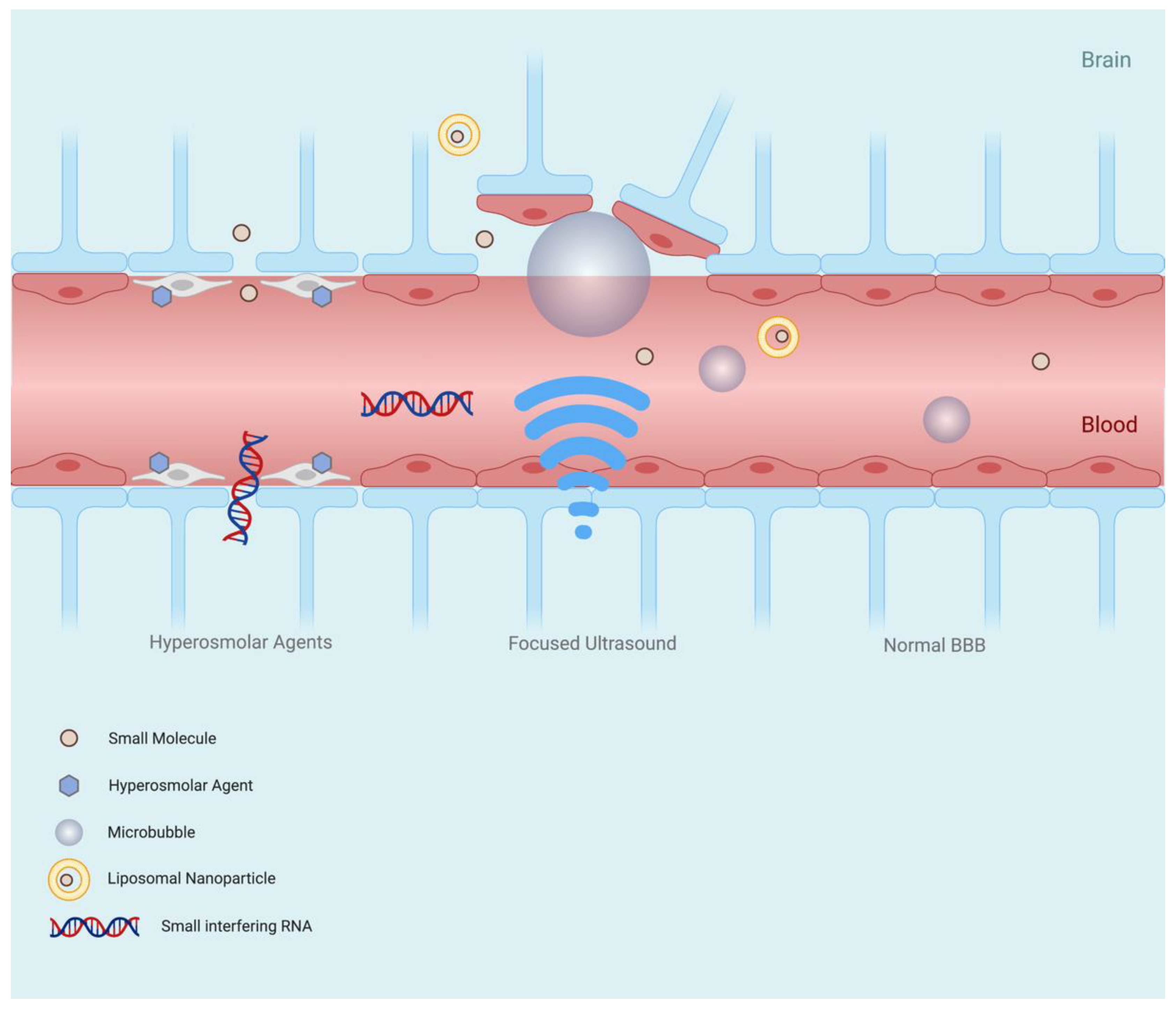Pharmaceutics 13 01980 g003