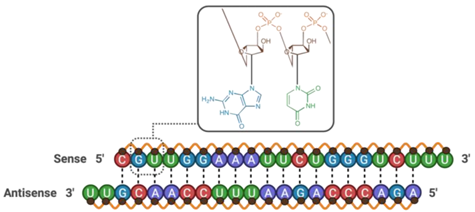 Pharmaceutics 13 01980 i032