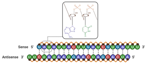 Pharmaceutics 13 01980 i033