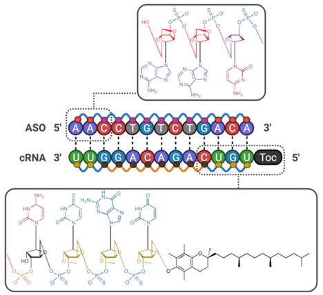 Pharmaceutics 13 01980 i034