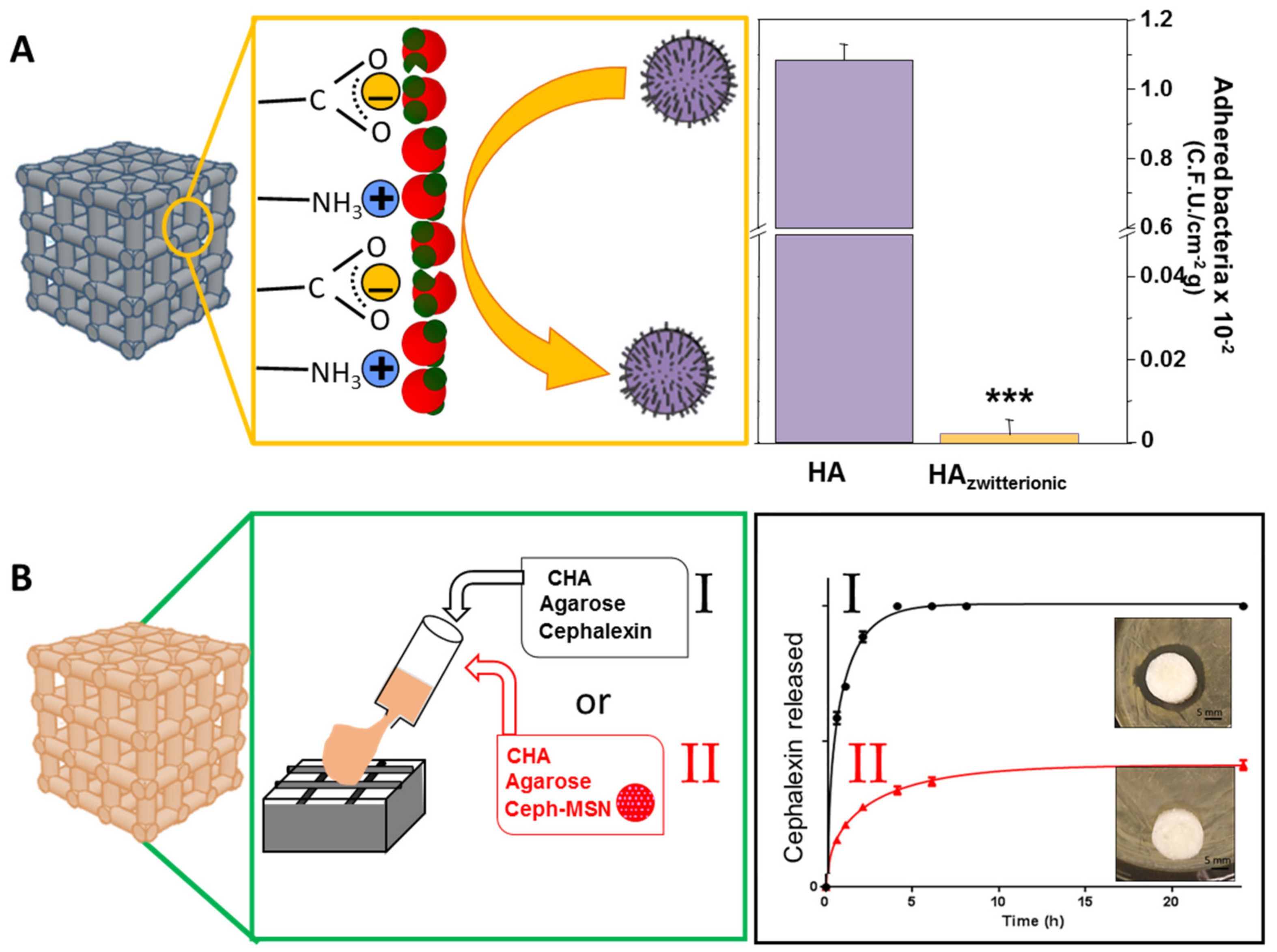 Pharmaceutics 13 01981 g006