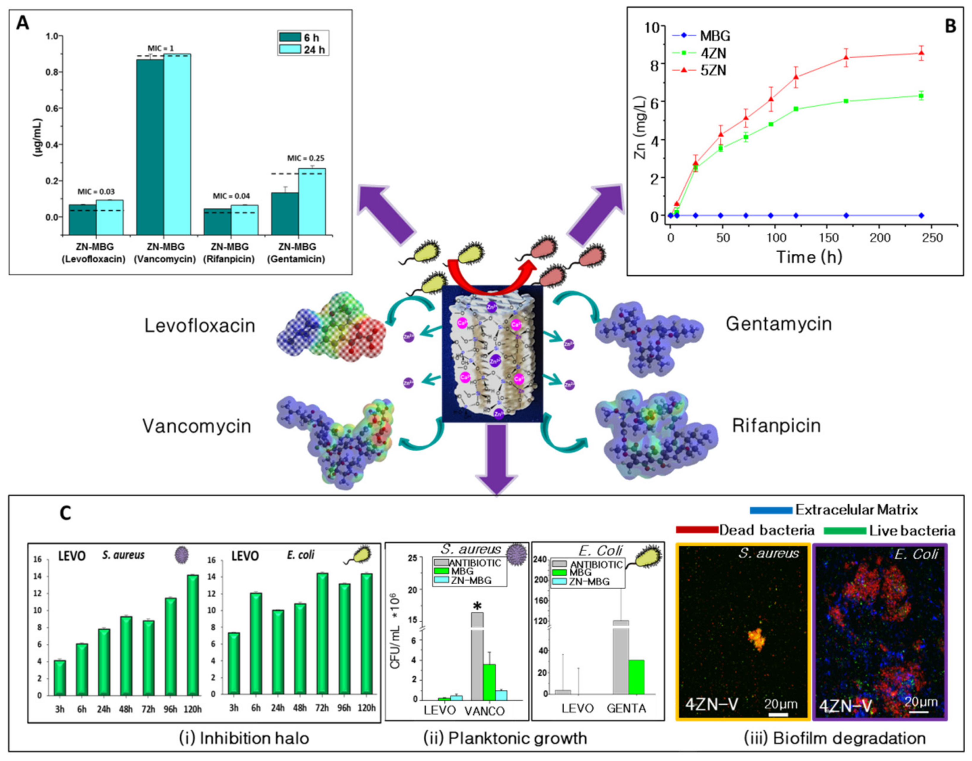 Pharmaceutics 13 01981 g009