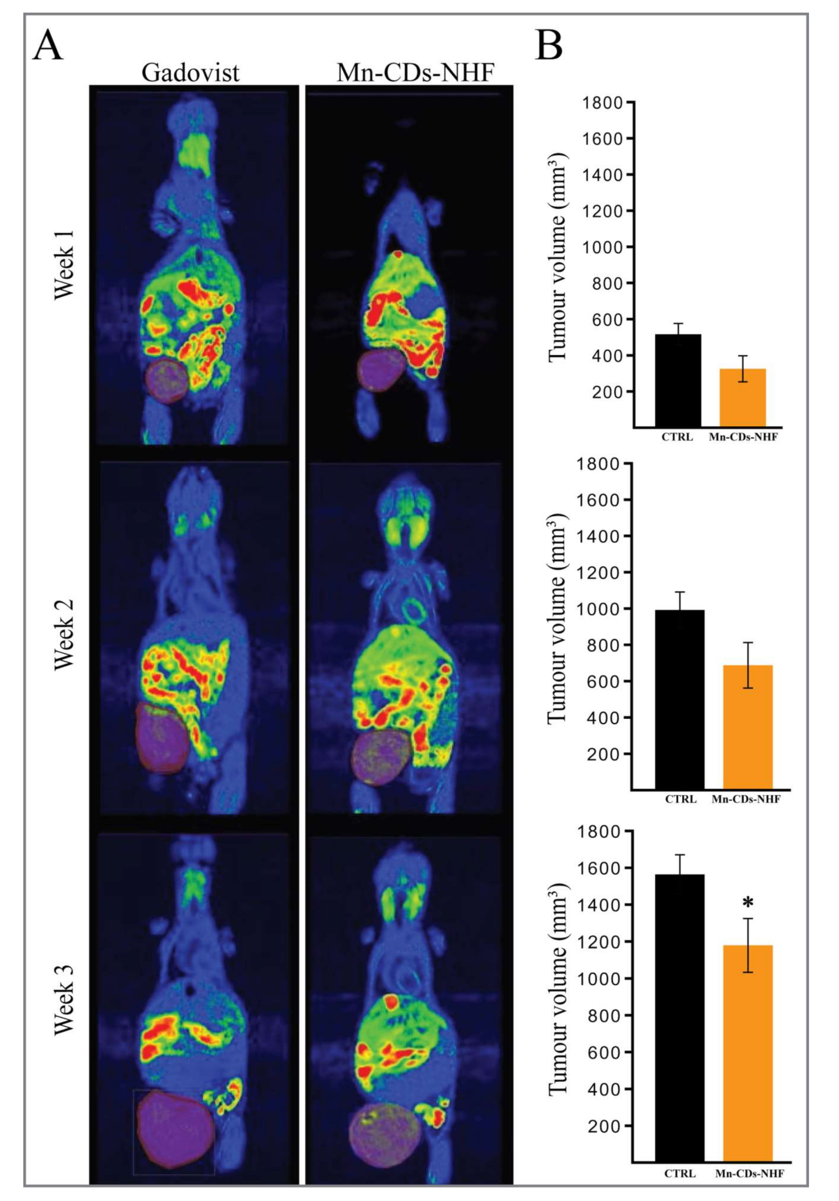 Pharmaceutics 13 01982 g004