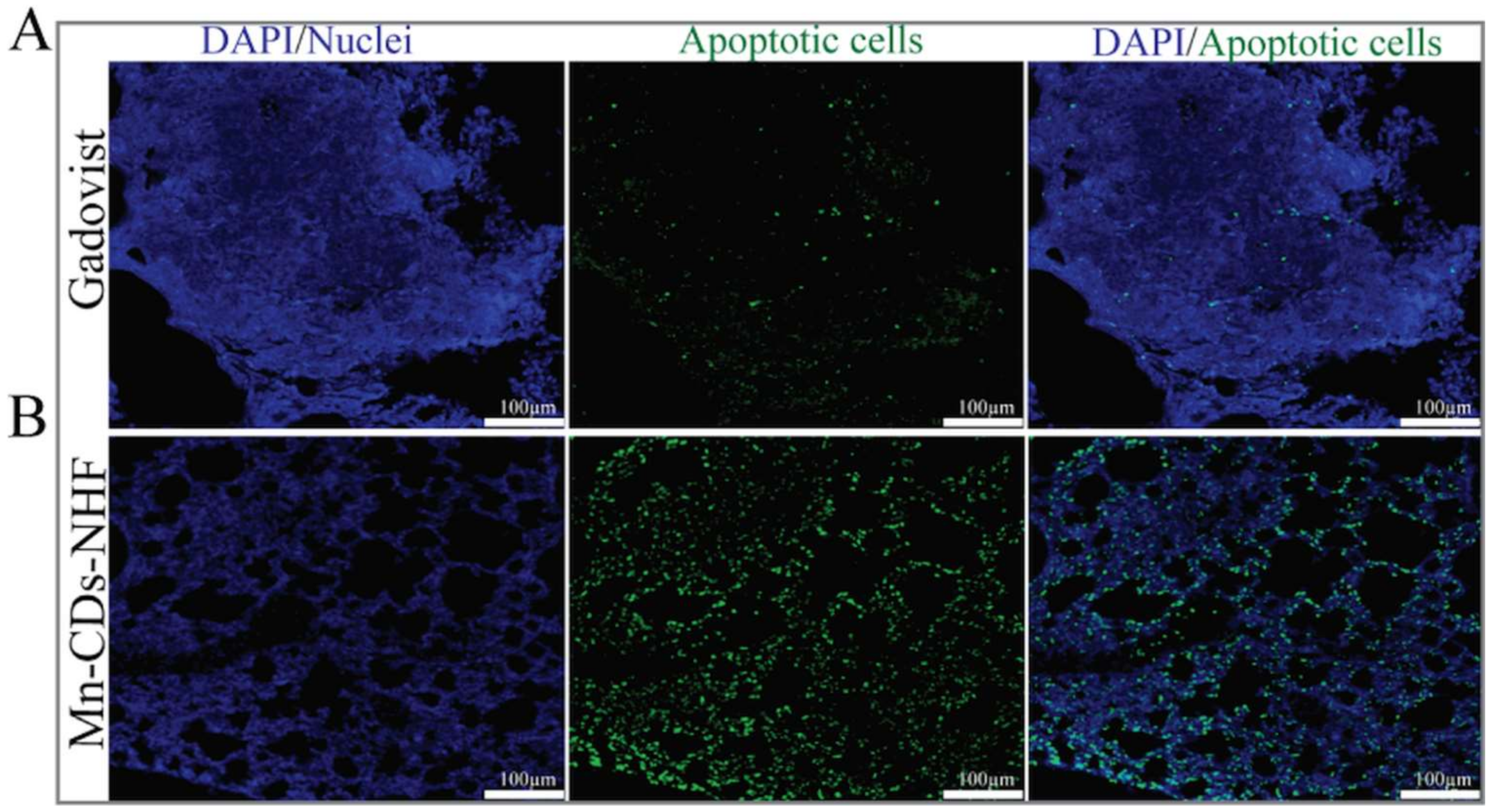 Pharmaceutics 13 01982 g007