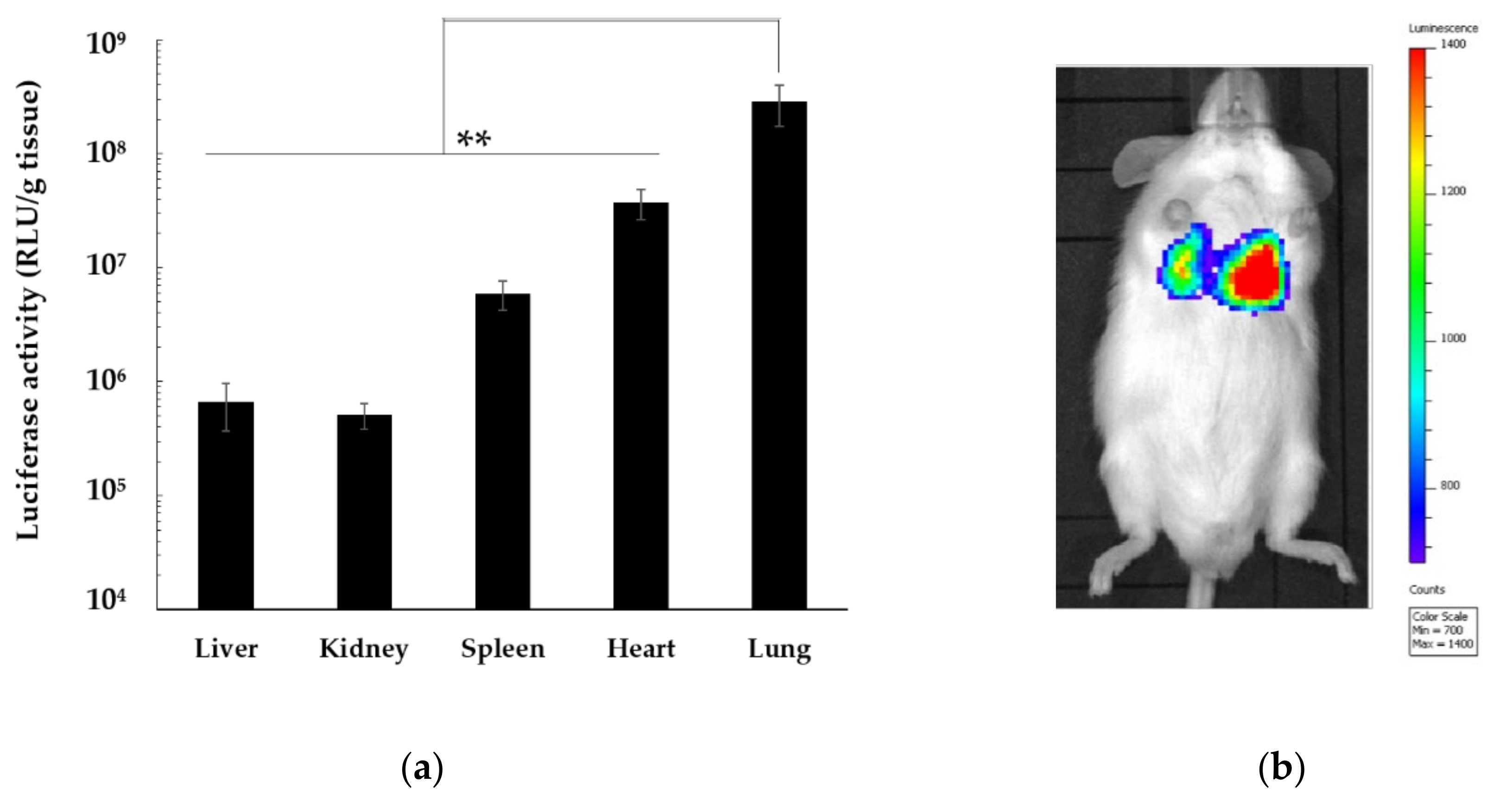 Pharmaceutics 13 01983 g004