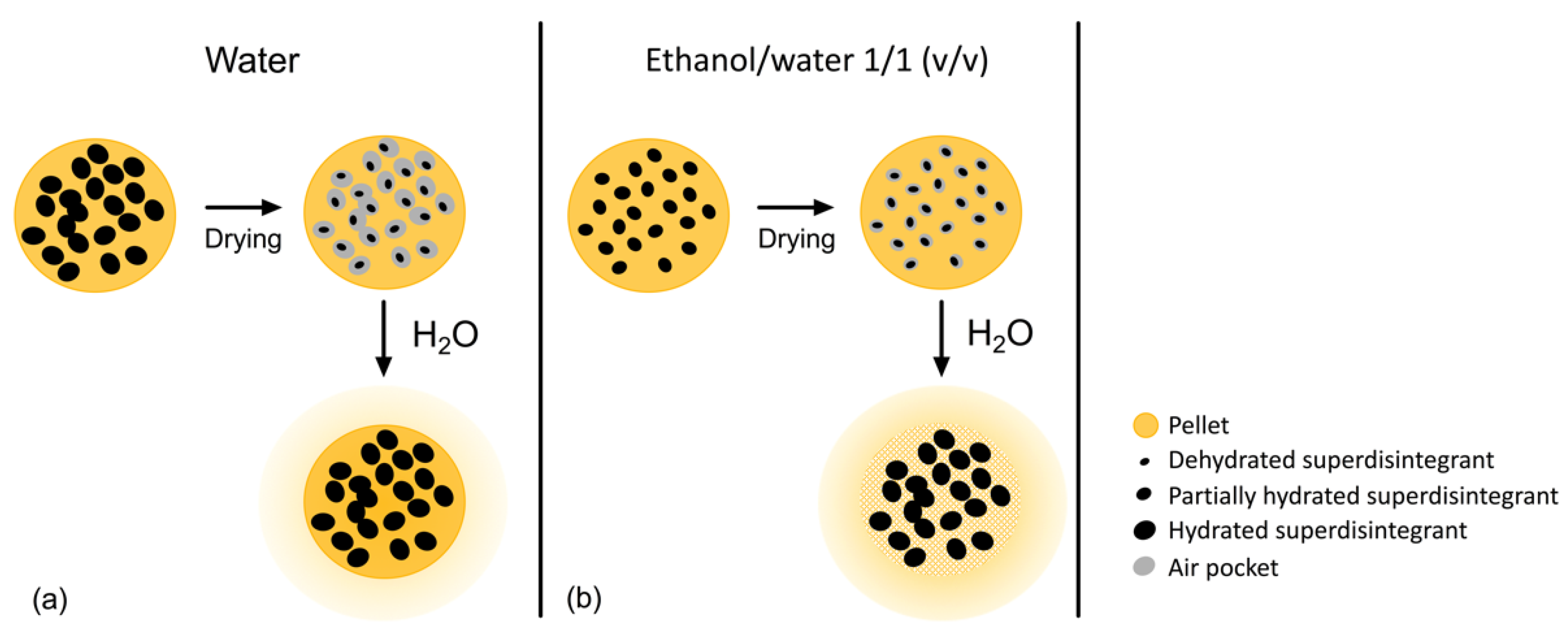 Pharmaceutics 13 01985 g003