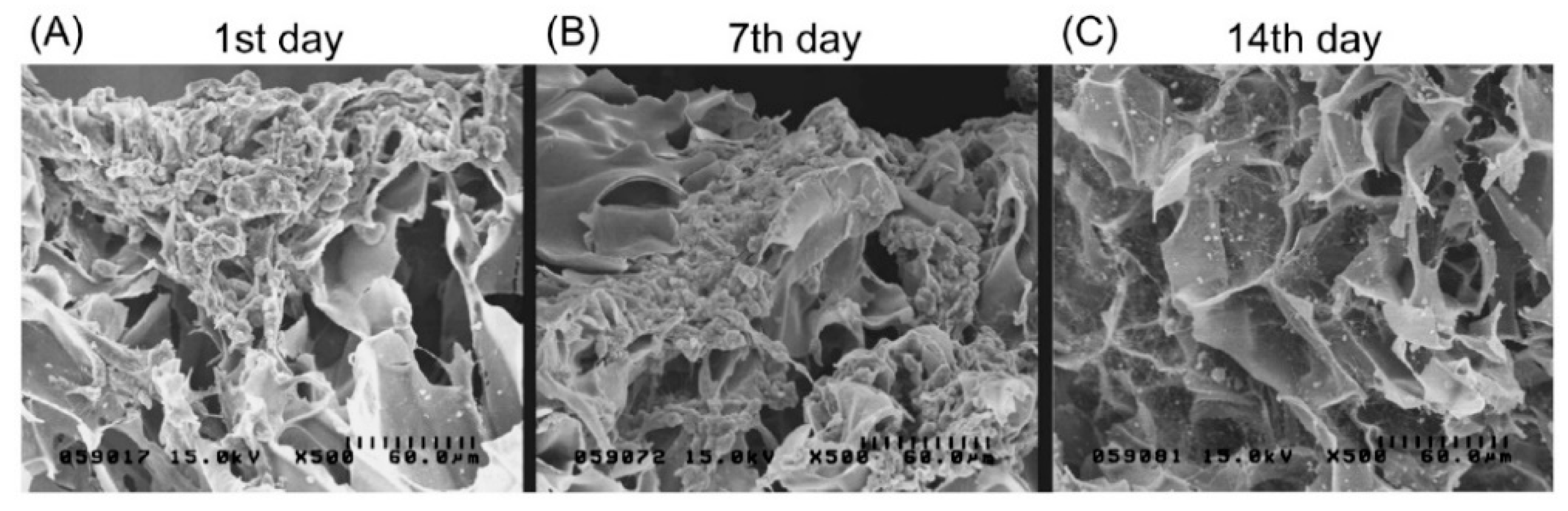 Pharmaceutics 13 01994 g004