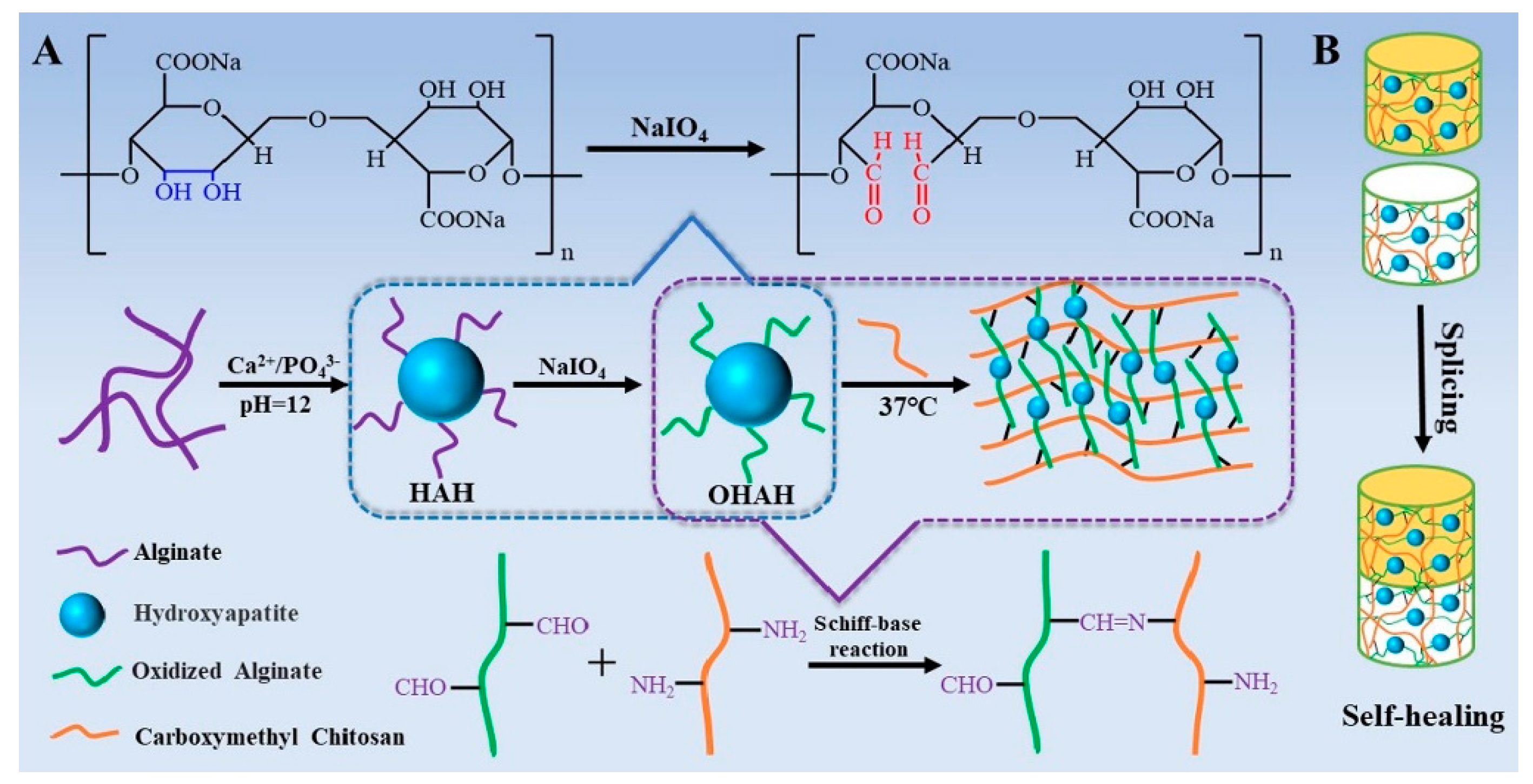 Pharmaceutics 13 01994 g005