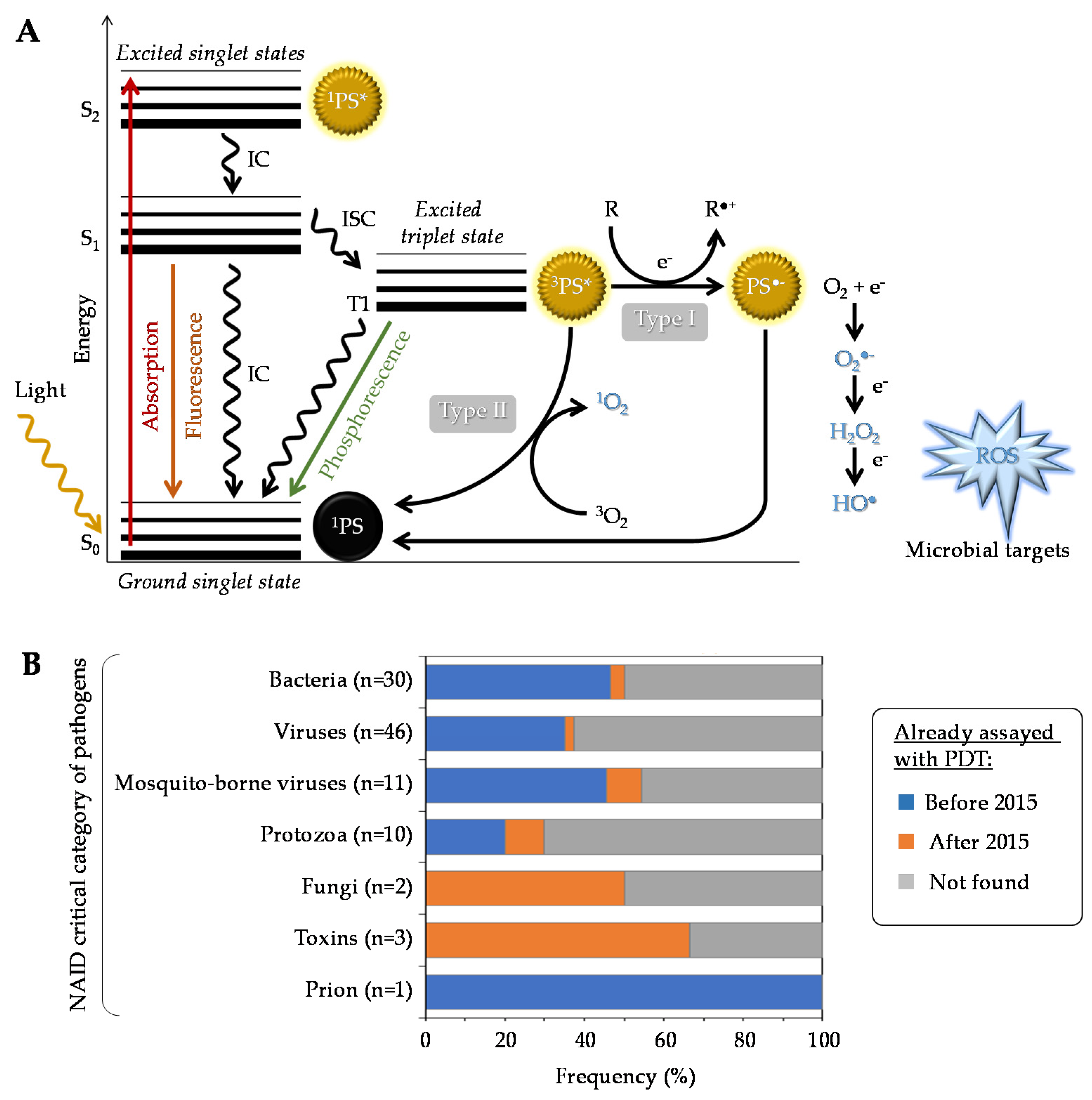 Pharmaceutics 13 01995 g001