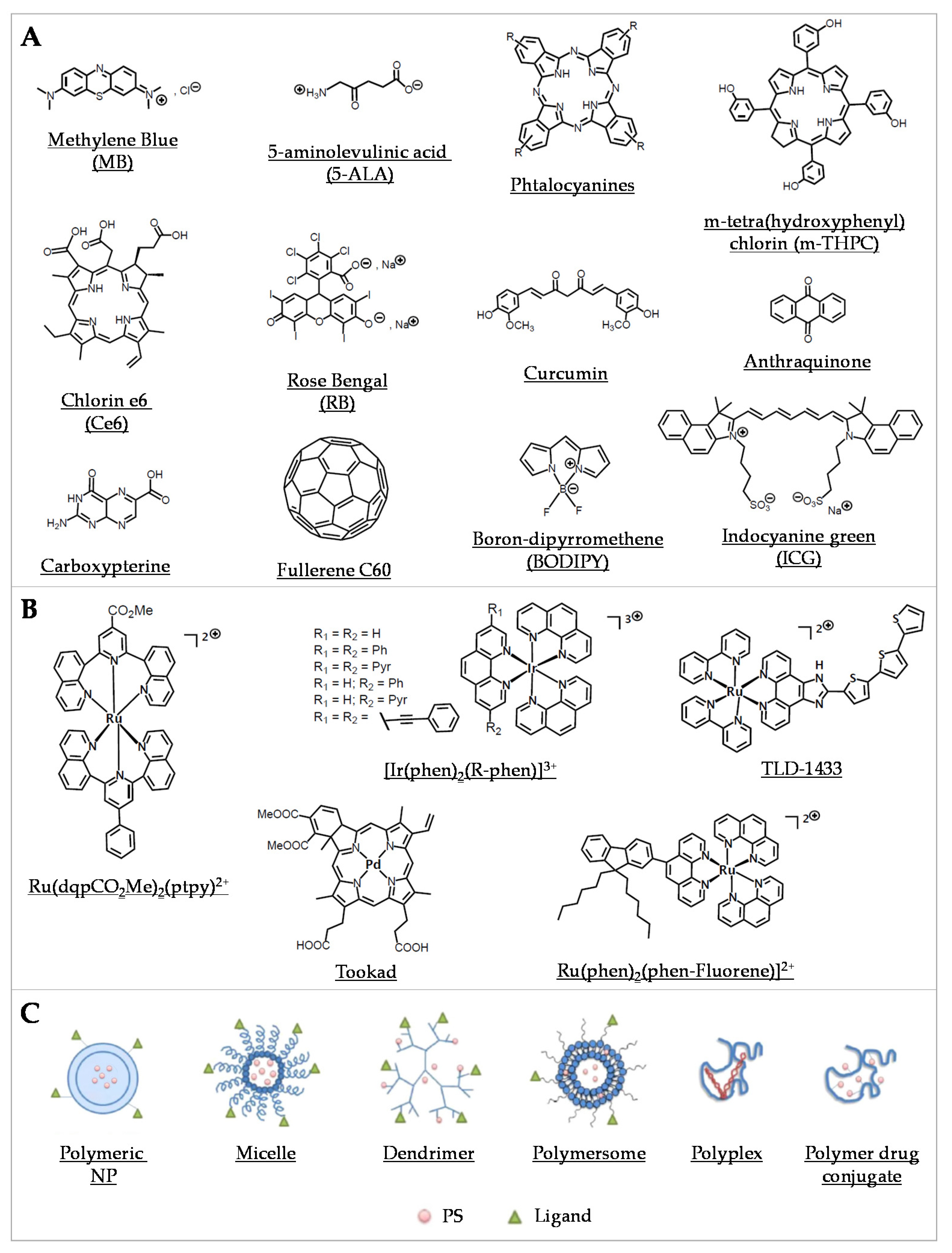 Pharmaceutics 13 01995 g002