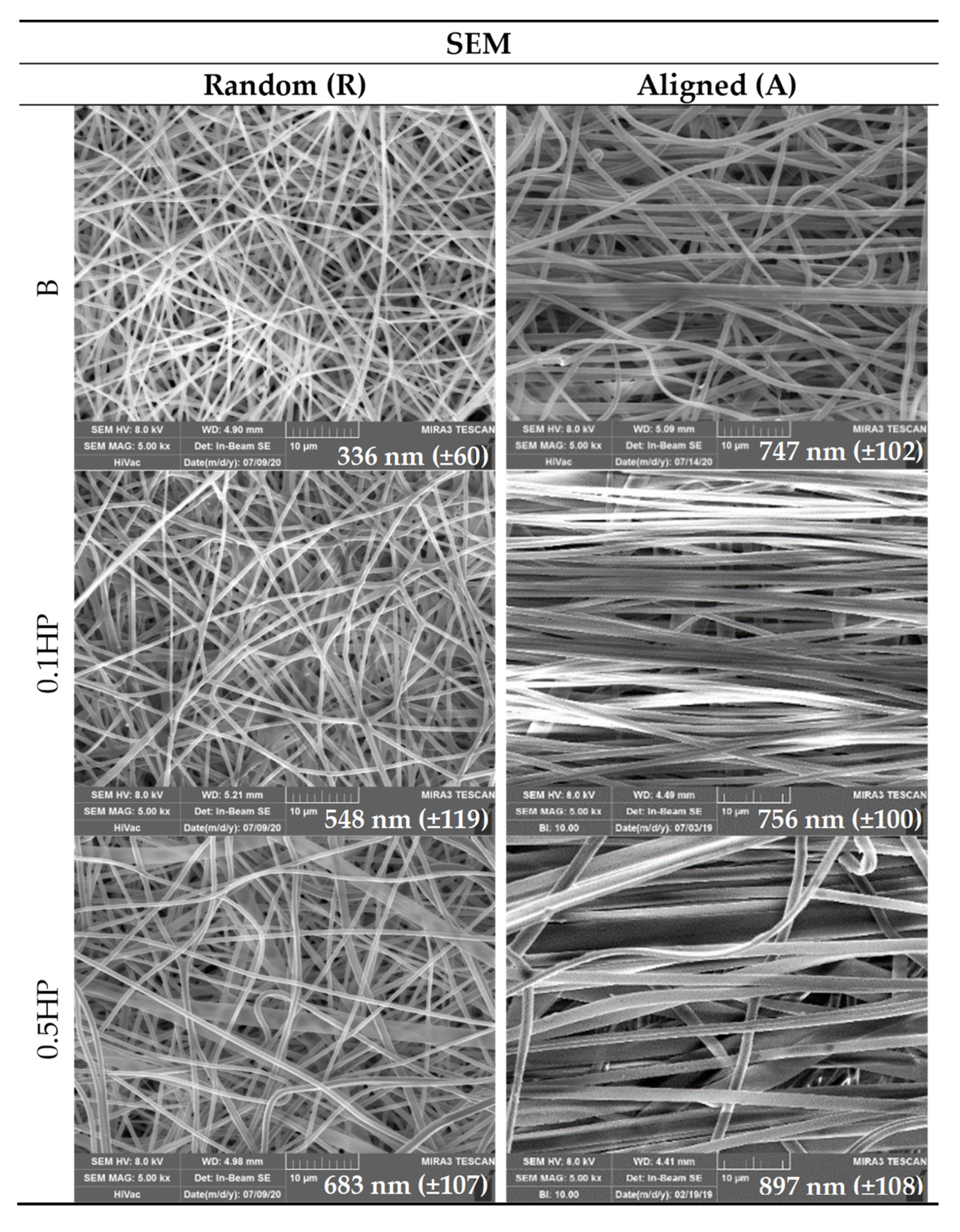 Pharmaceutics 13 01996 g002
