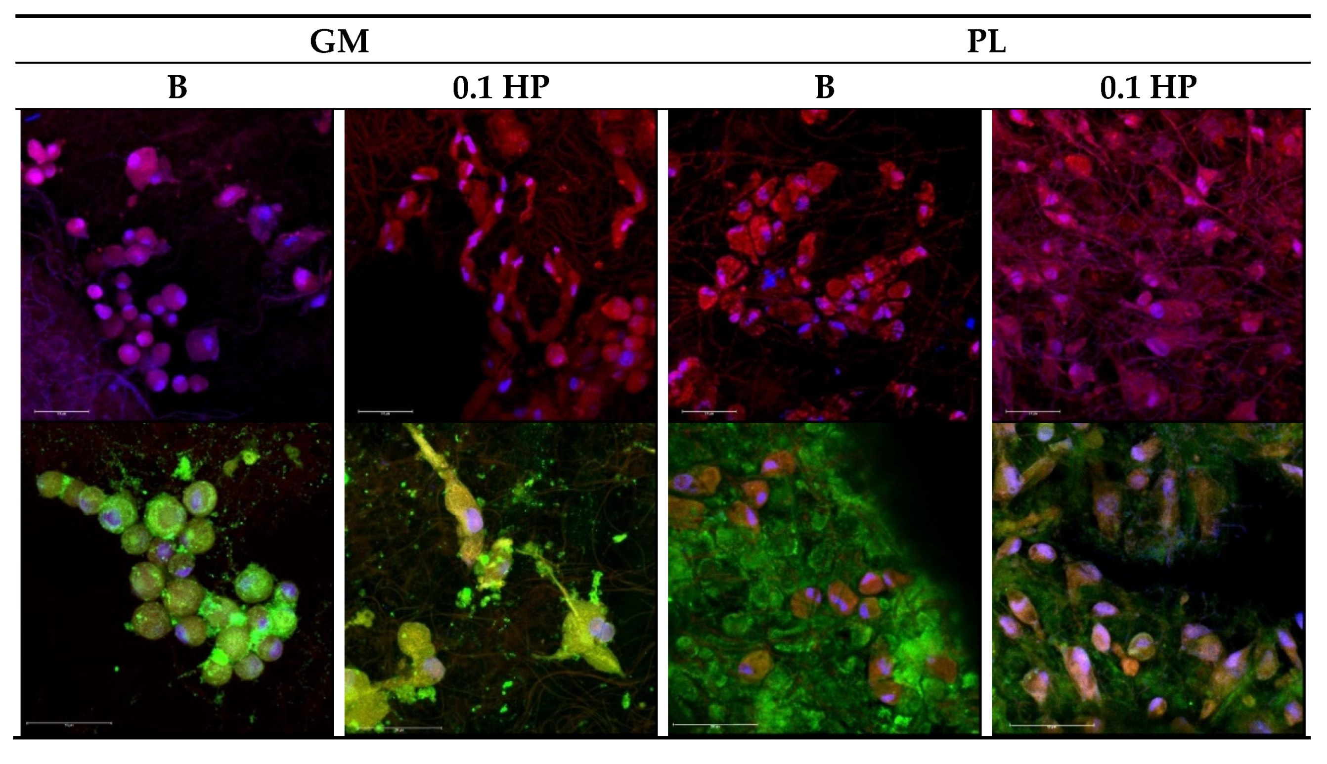 Pharmaceutics 13 01996 g011