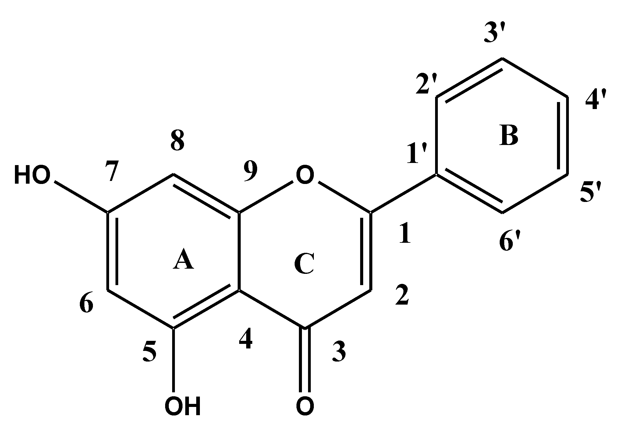 Pharmaceutics 13 01997 g001
