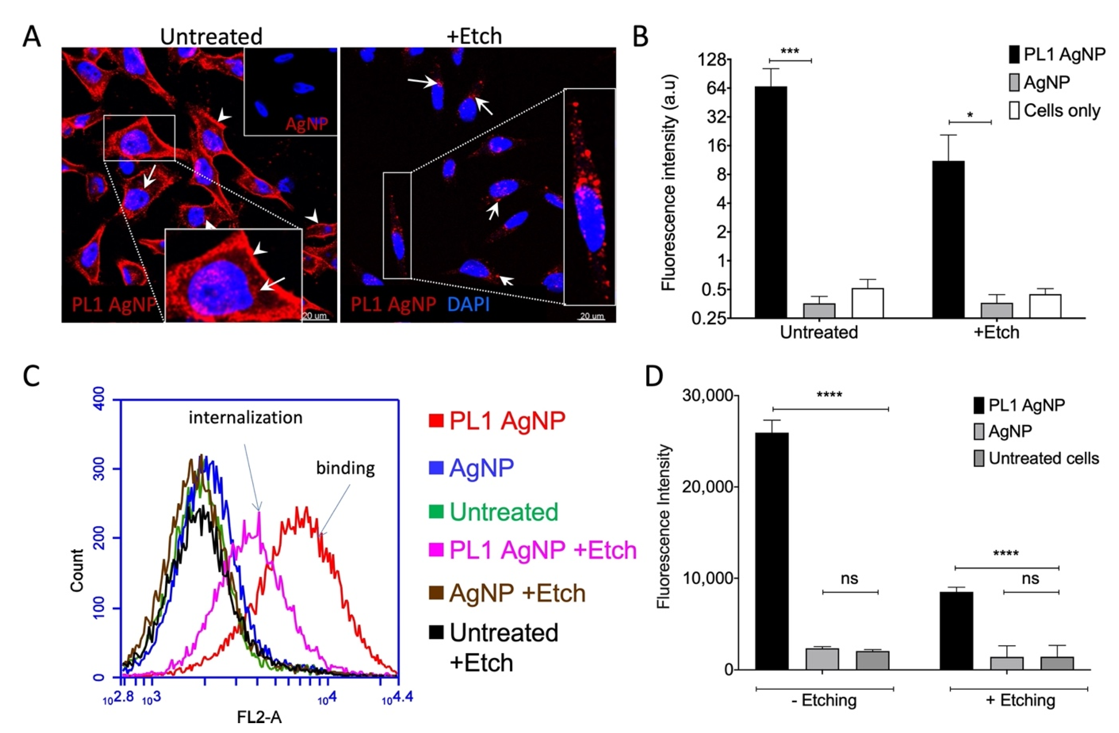 Pharmaceutics 13 01998 g004
