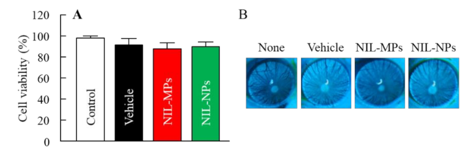 Pharmaceutics 13 01999 g005