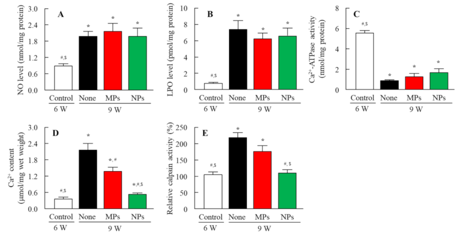 Pharmaceutics 13 01999 g008