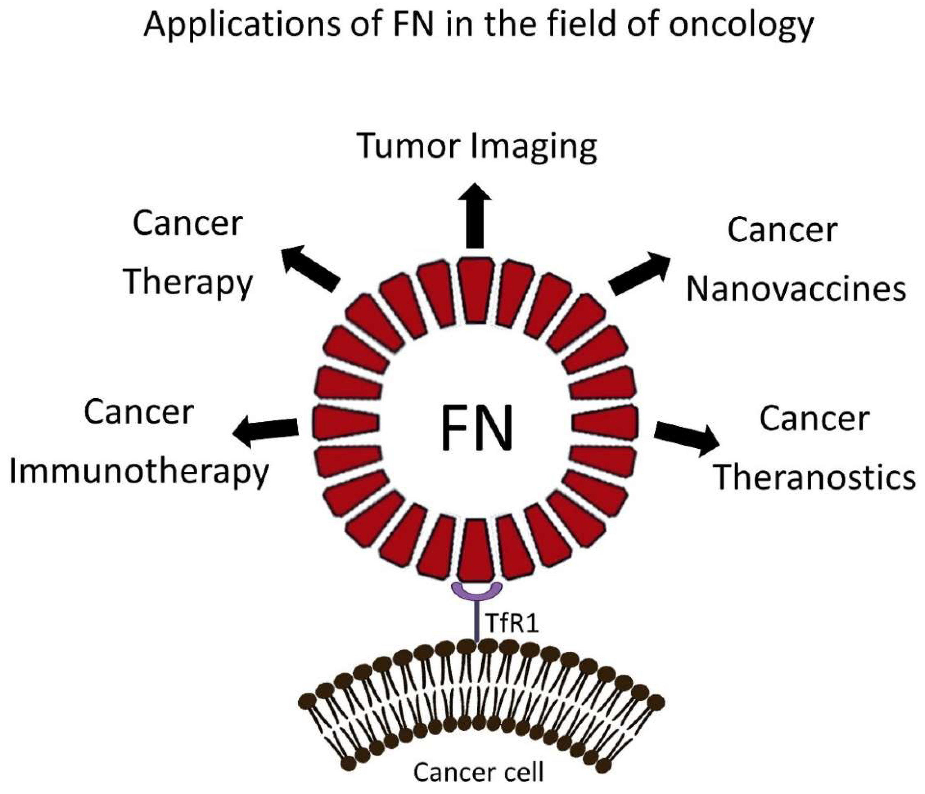 Pharmaceutics 13 02000 g002