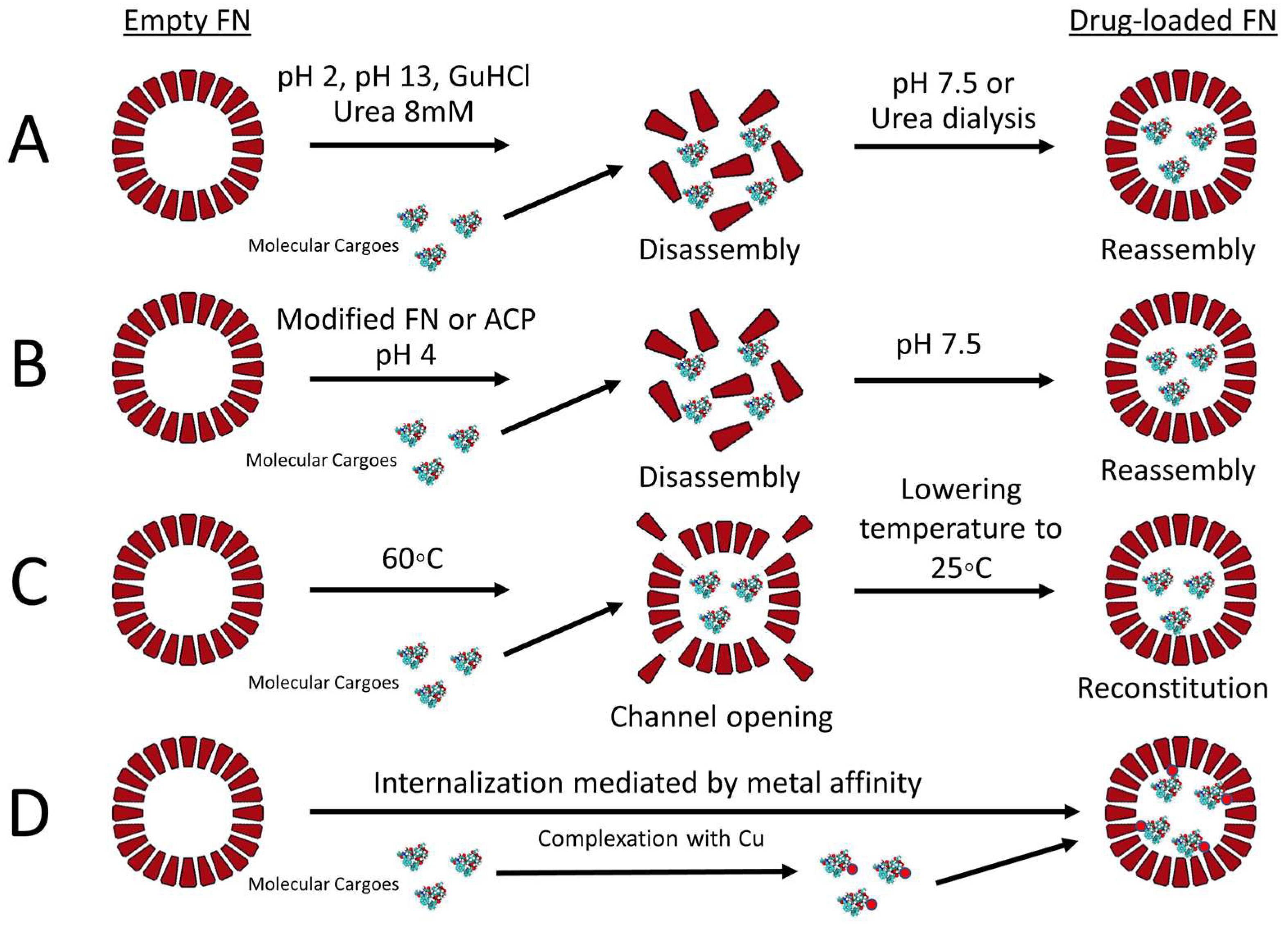 Pharmaceutics 13 02000 g003