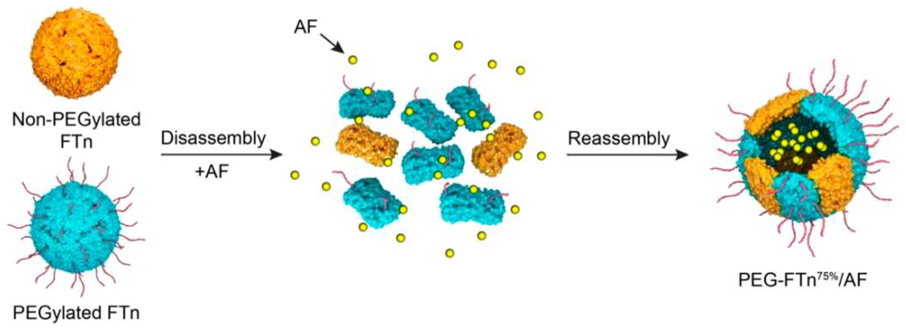Pharmaceutics 13 02000 g004