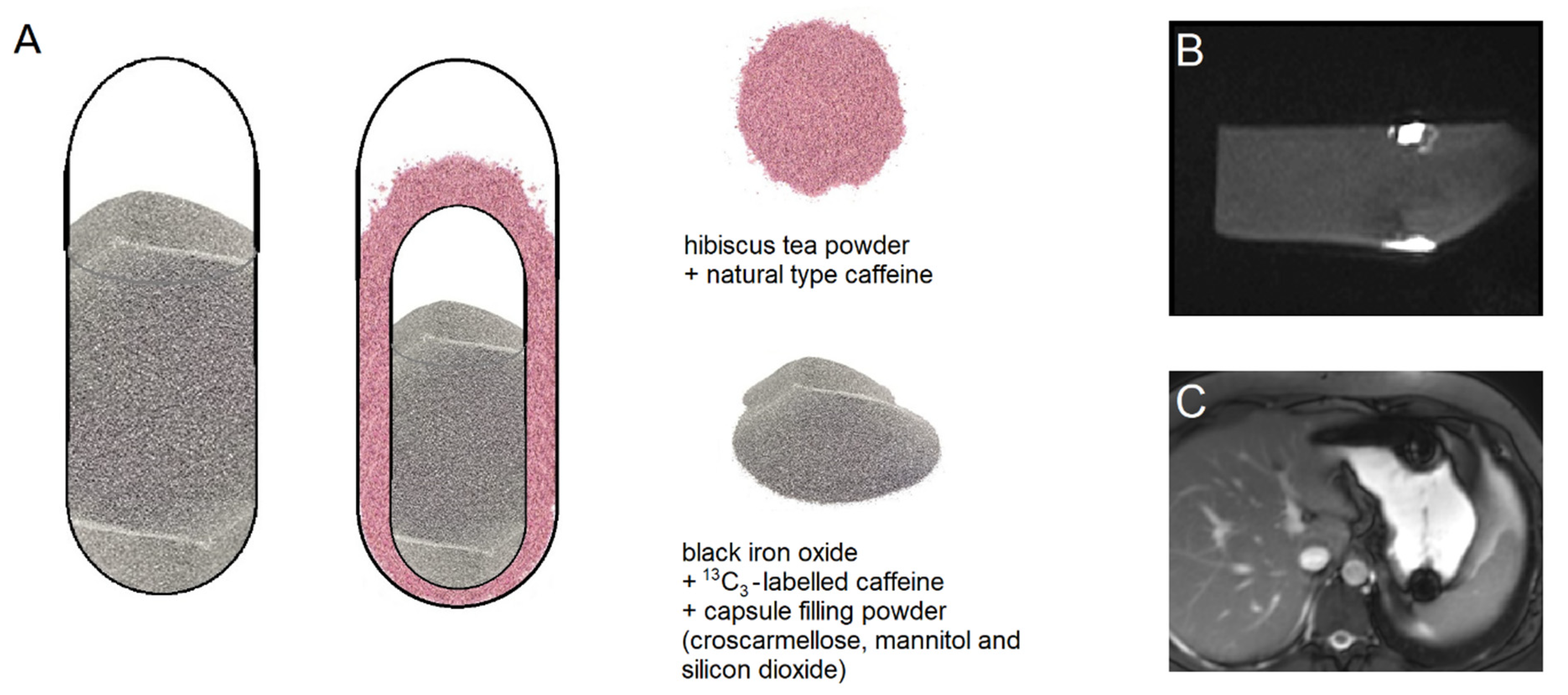 Pharmaceutics 13 02002 g001