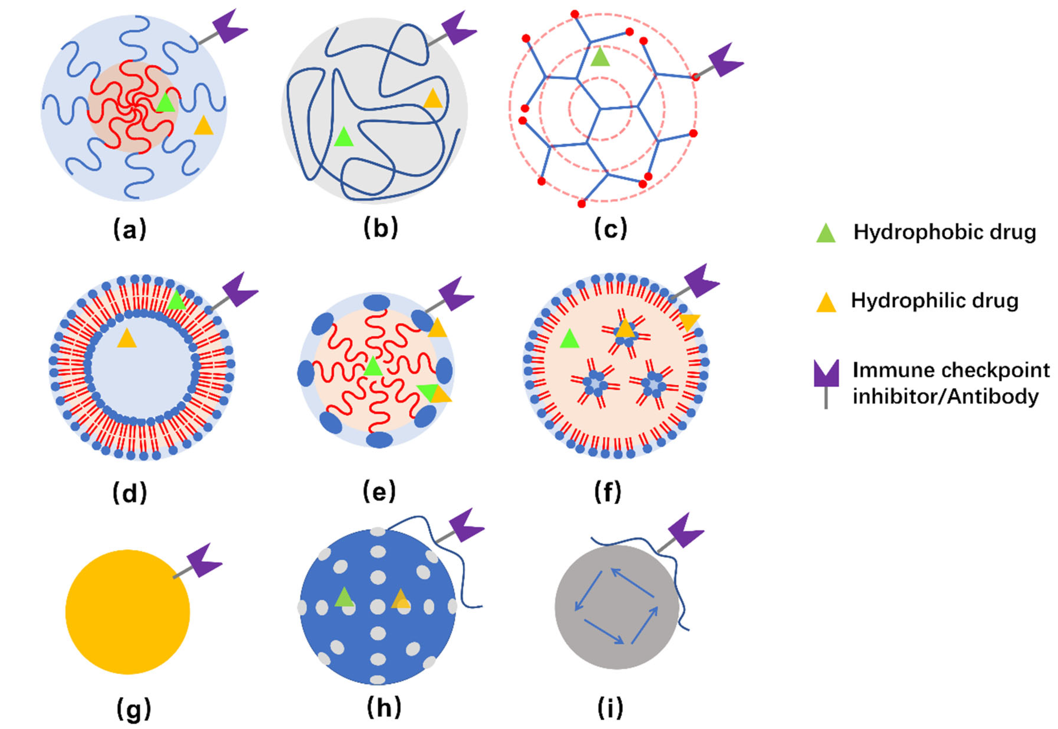 Pharmaceutics 13 02003 g002