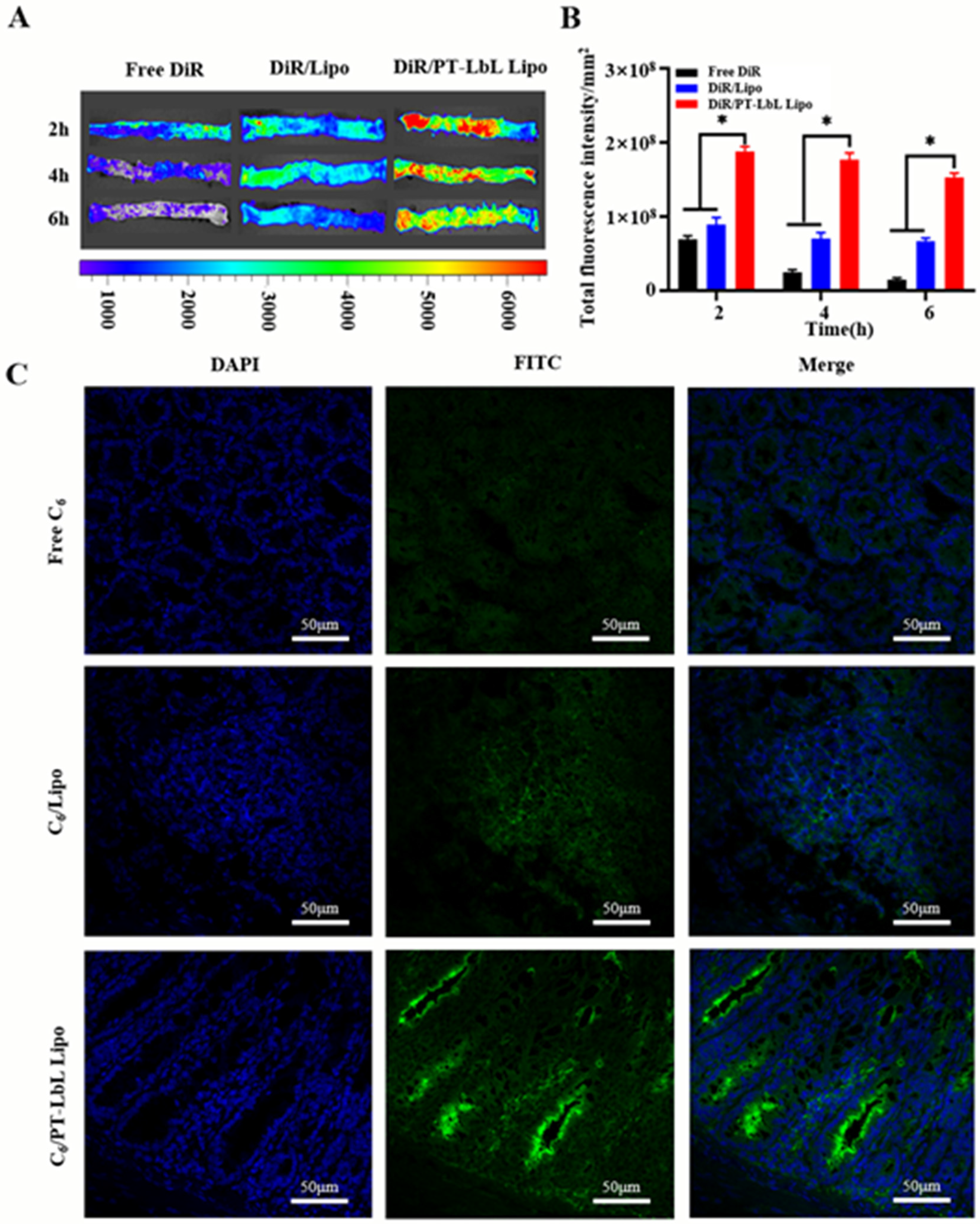 Pharmaceutics 13 02005 g004
